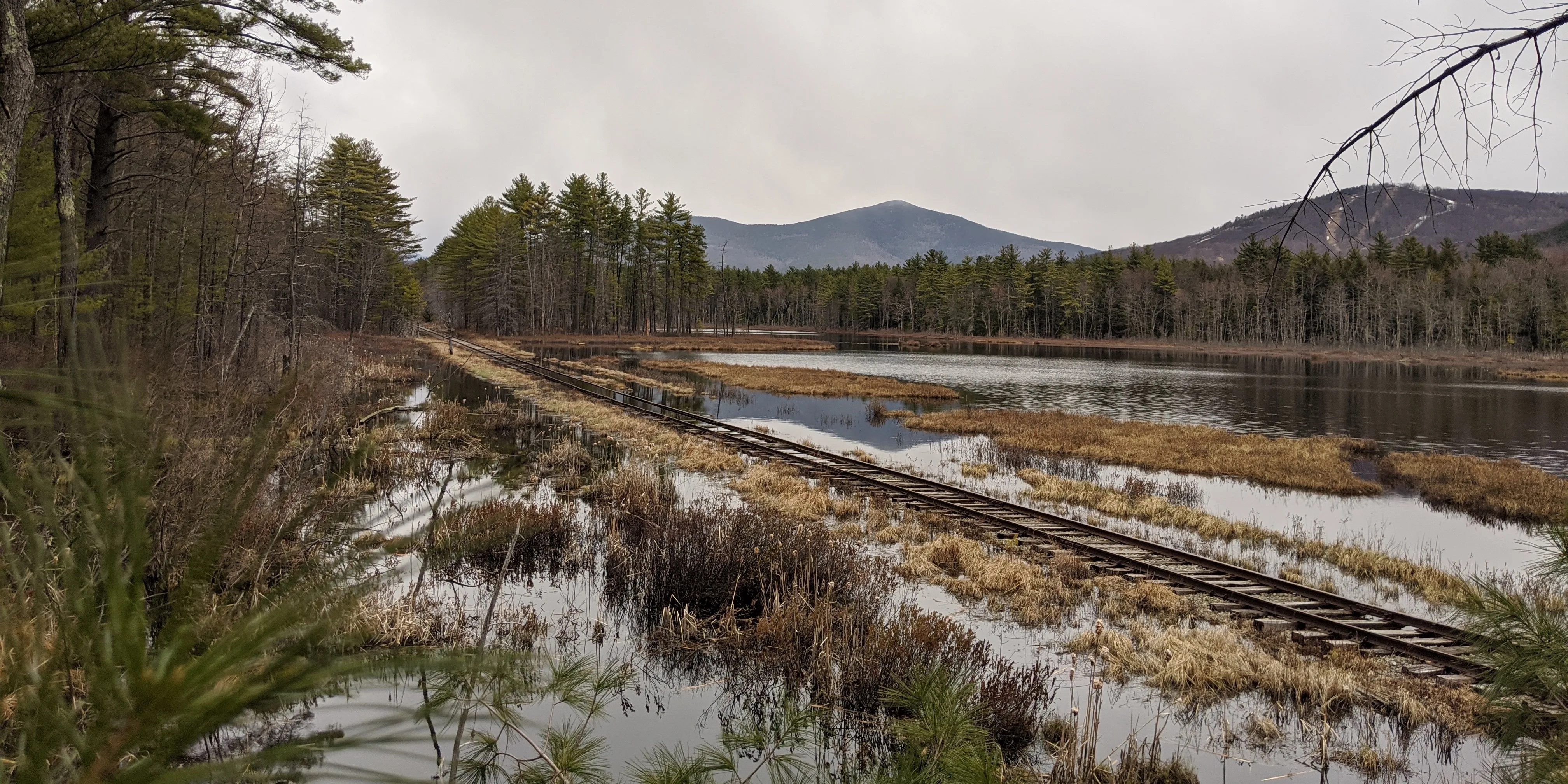 Escaping New York, 2020–2021