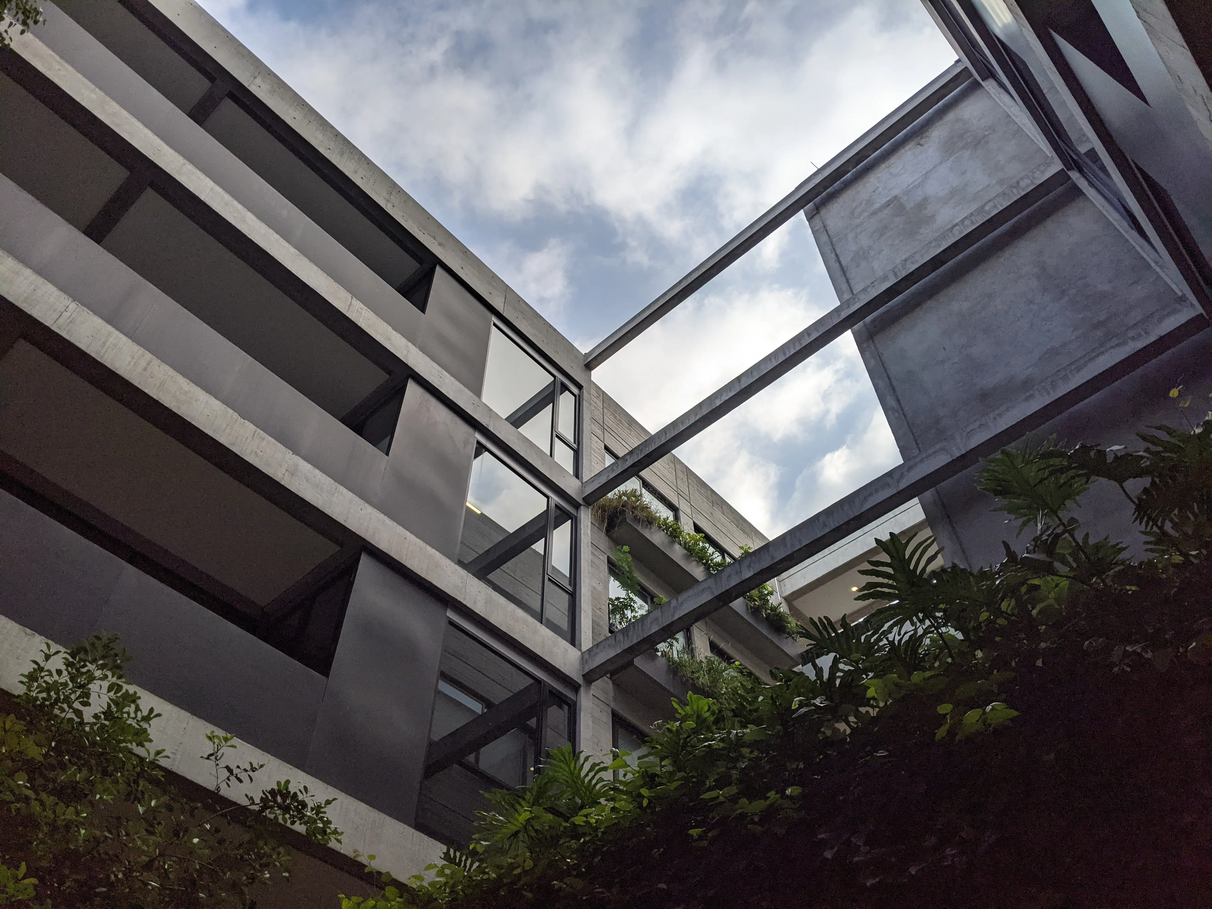 Mexico City, Summer 2021