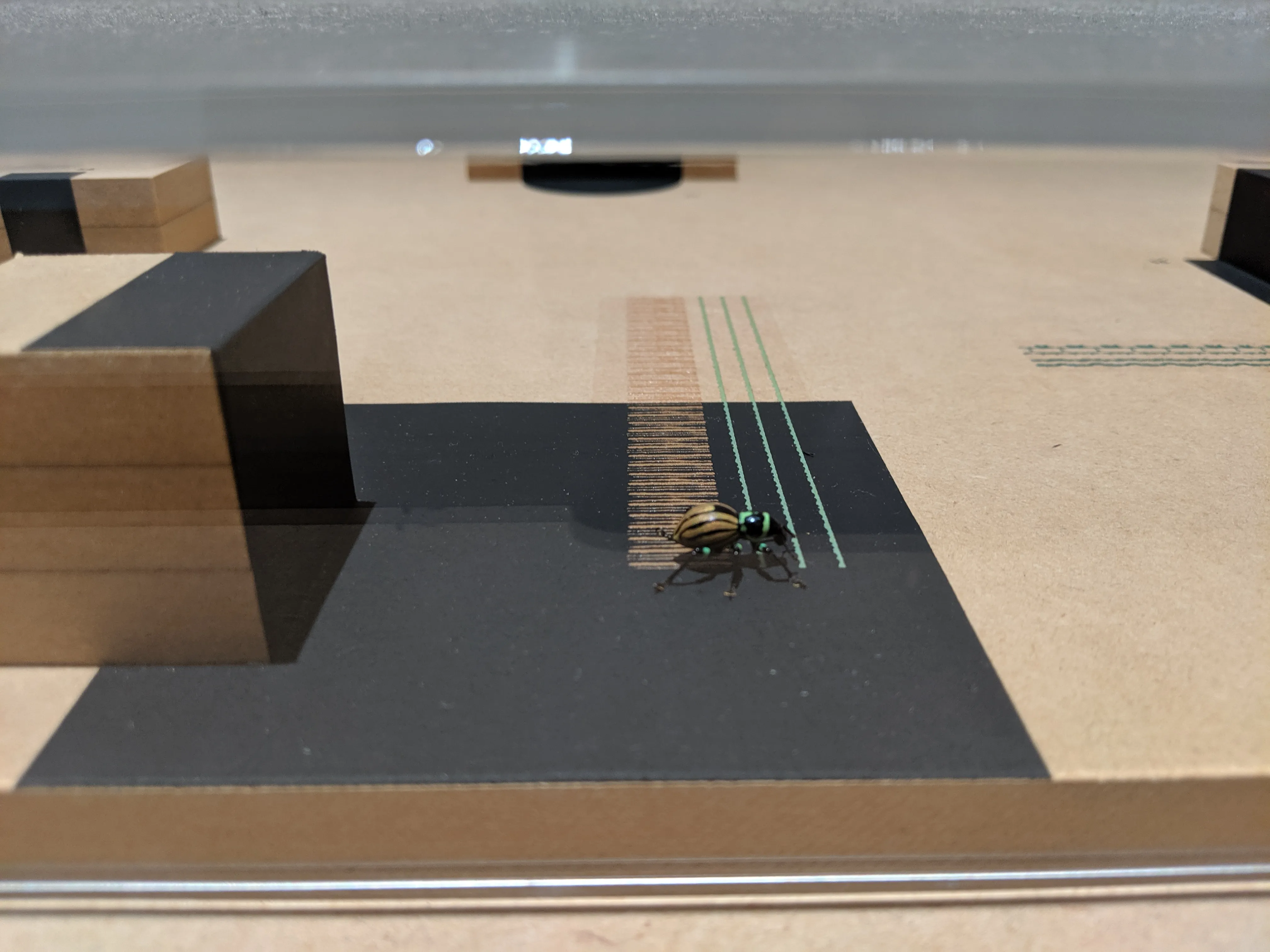 2121 patterns 2.YJcVZKwV.jpg