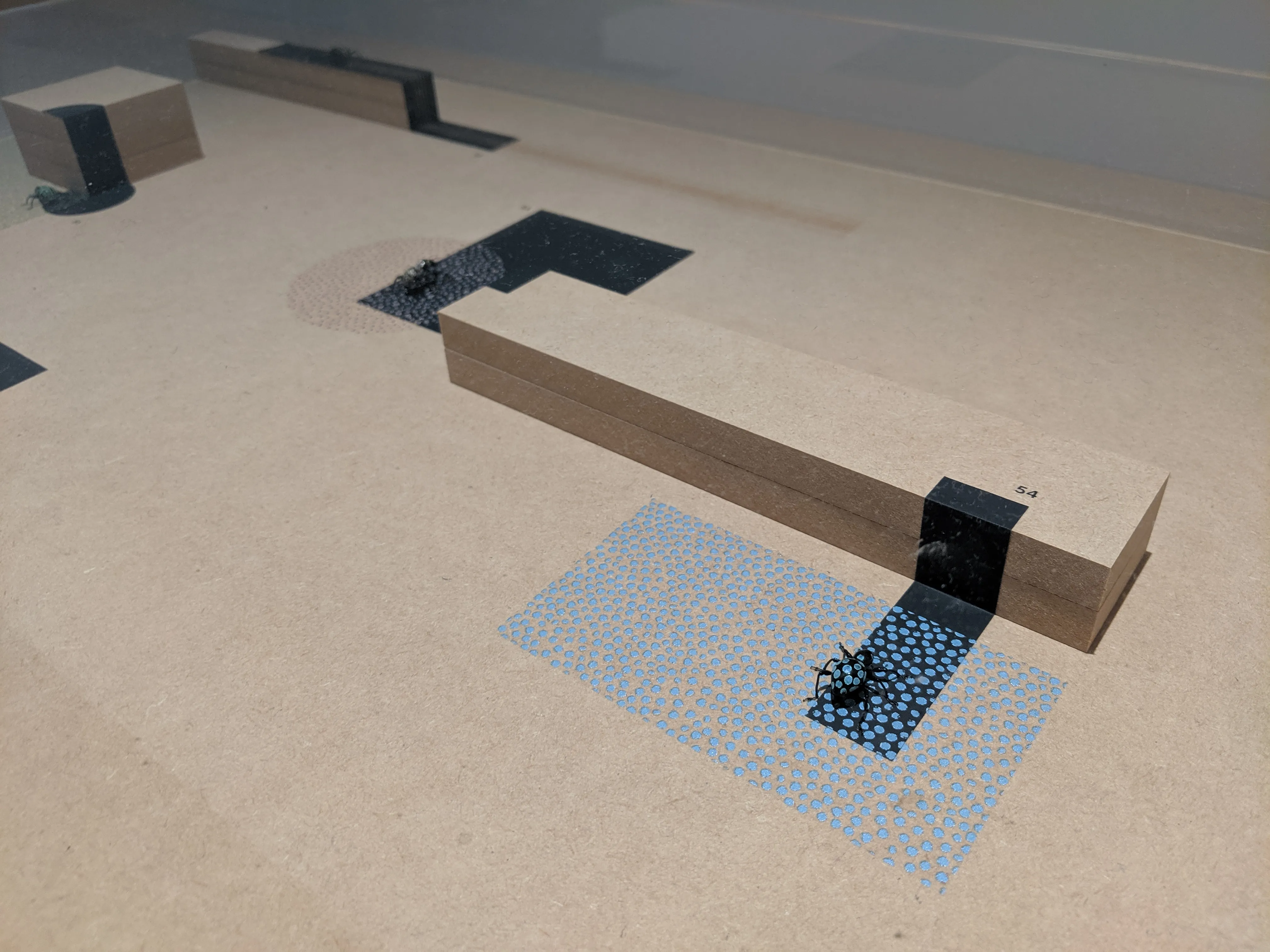 2121 patterns.CR0glQpm.jpg