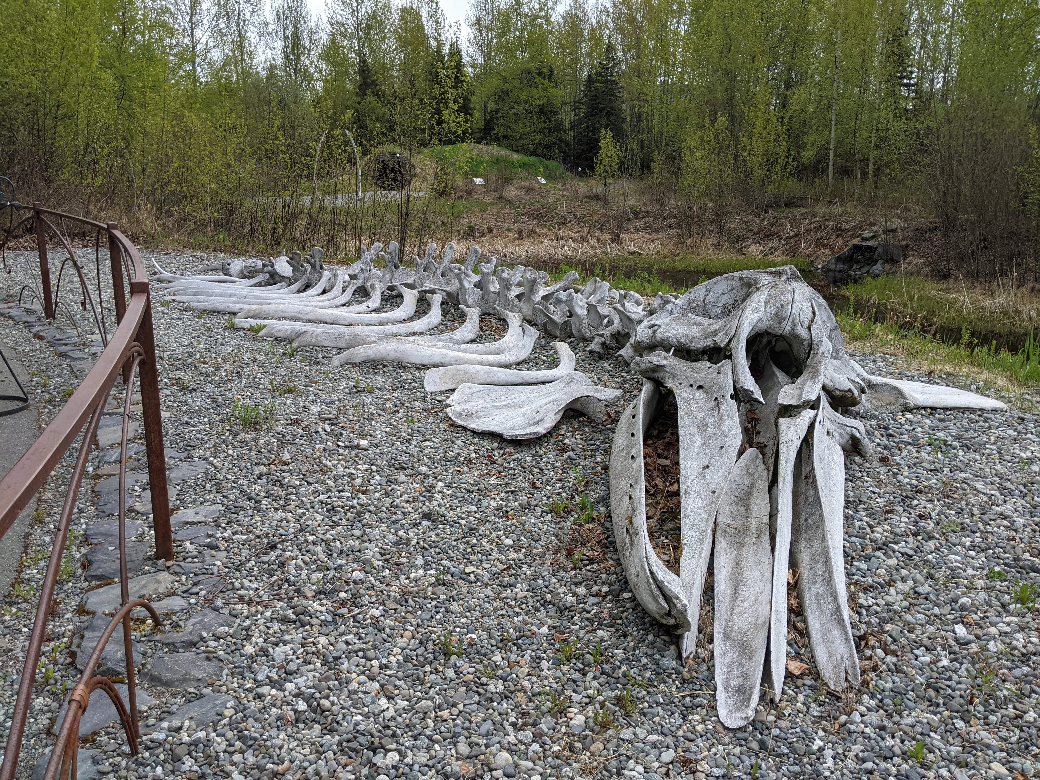 alaska native heritage center.BJbNHsrX.jpg
