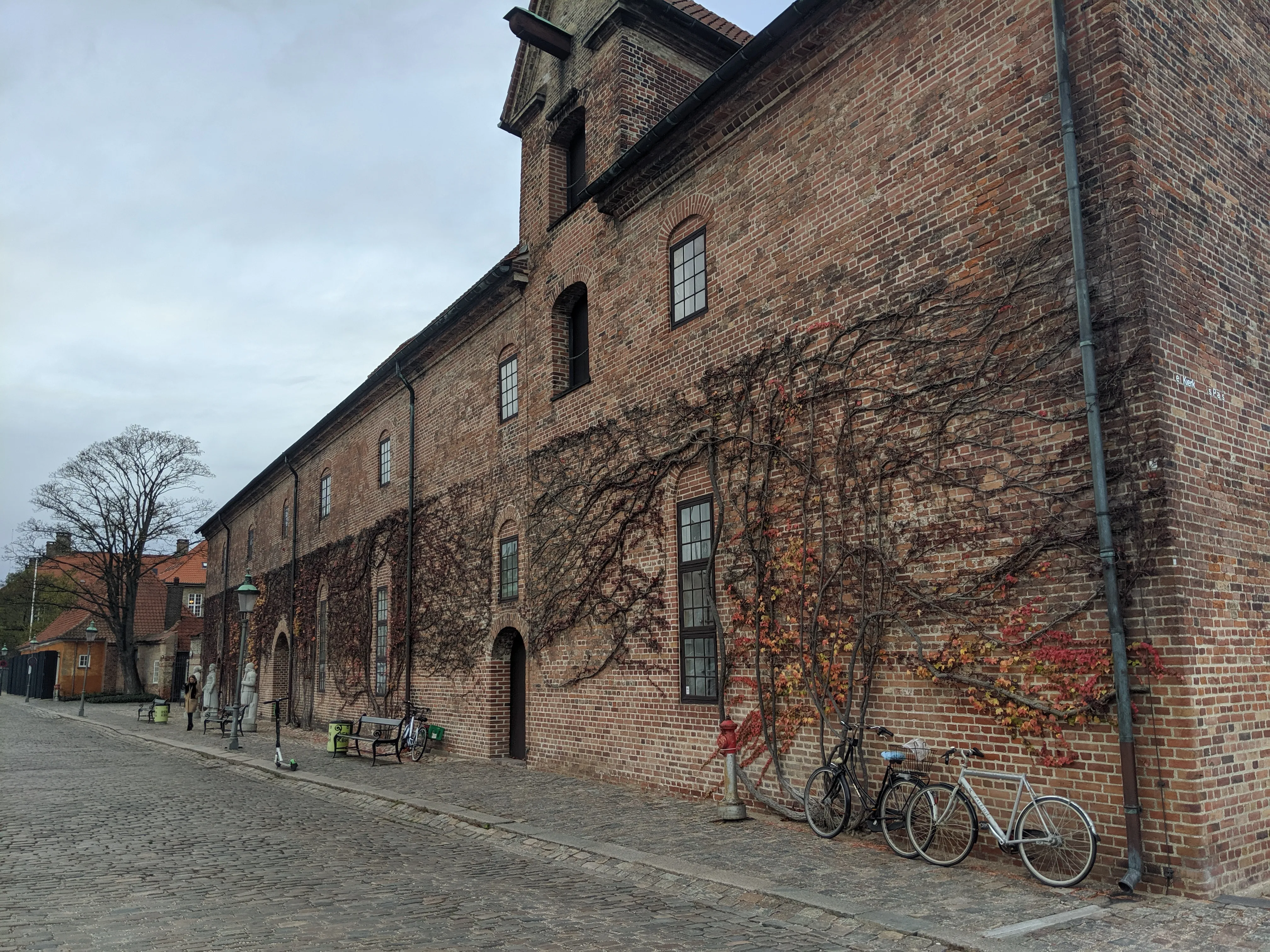 bikes vines.BpontG8W.jpg