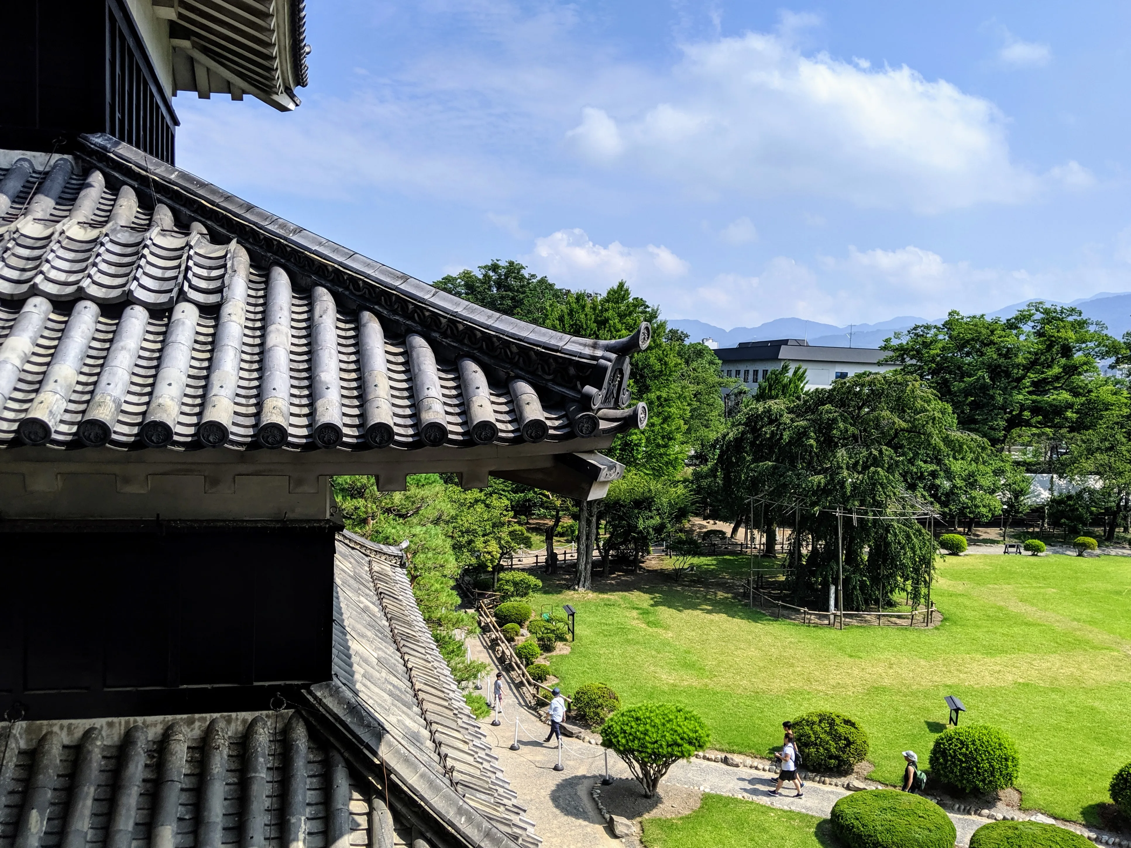 castle roof.YFiF8YnQ.jpg