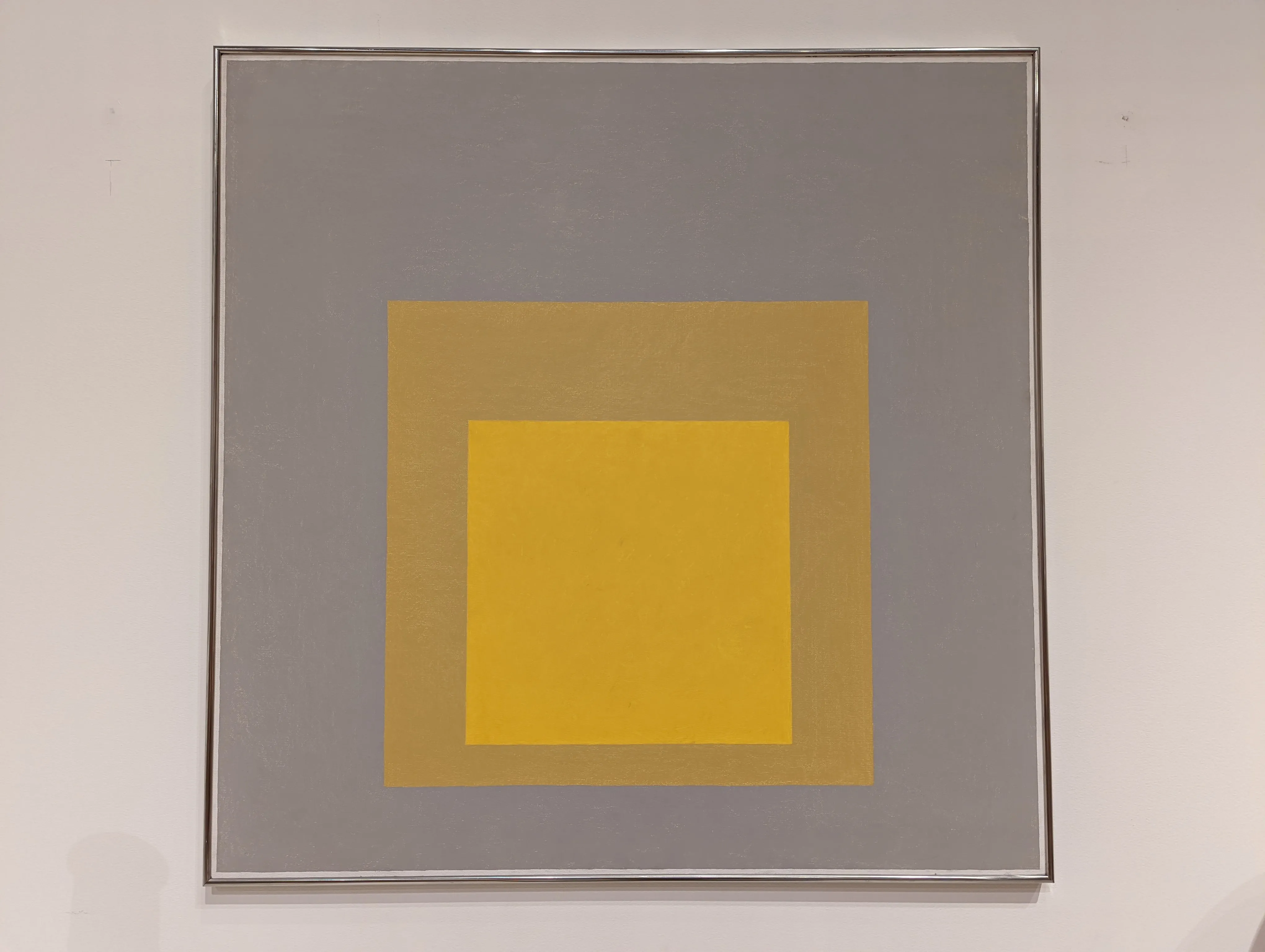 concord museum albers.BynF9rcq.jpg
