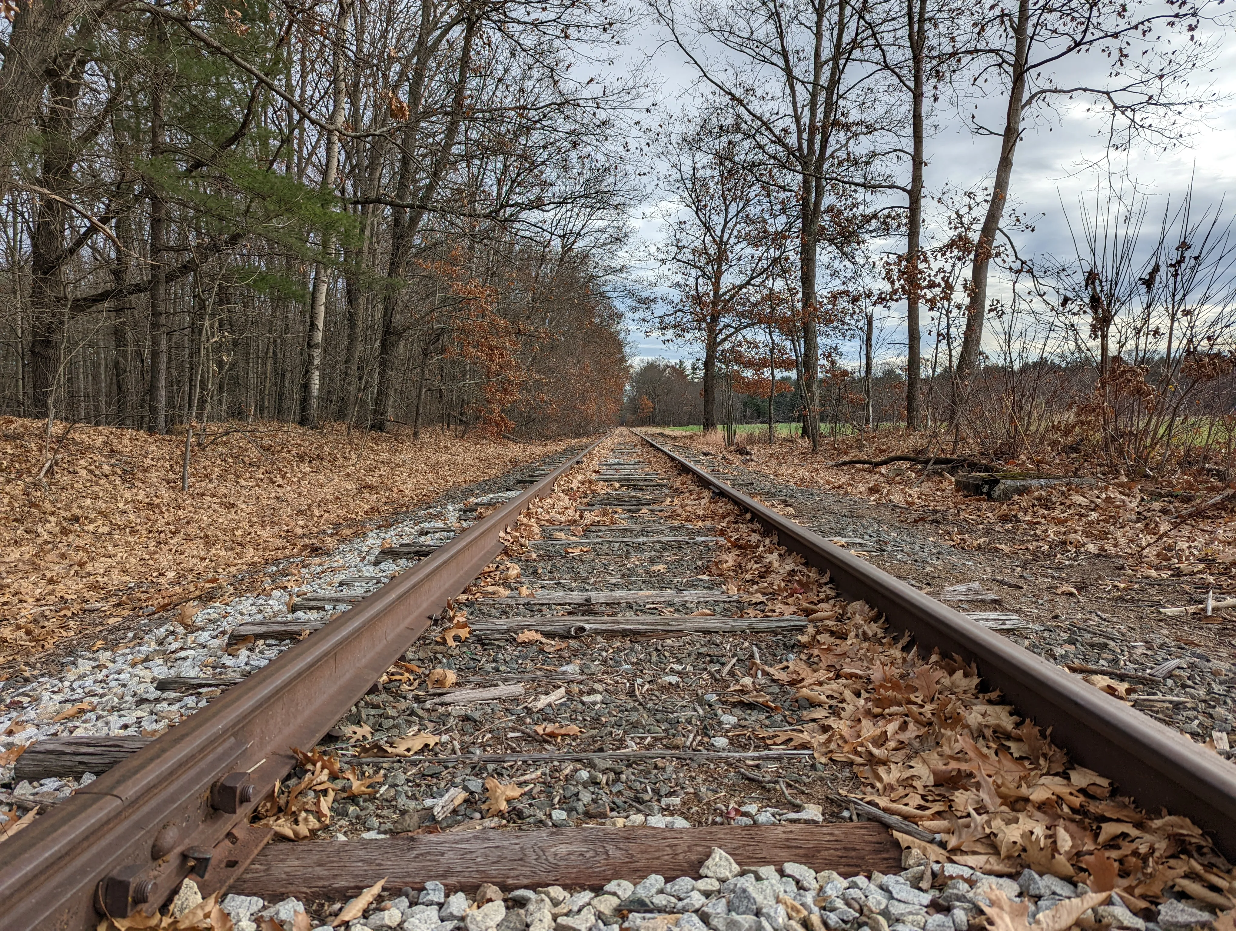 concord tracks close.DvmyWFa3.jpg