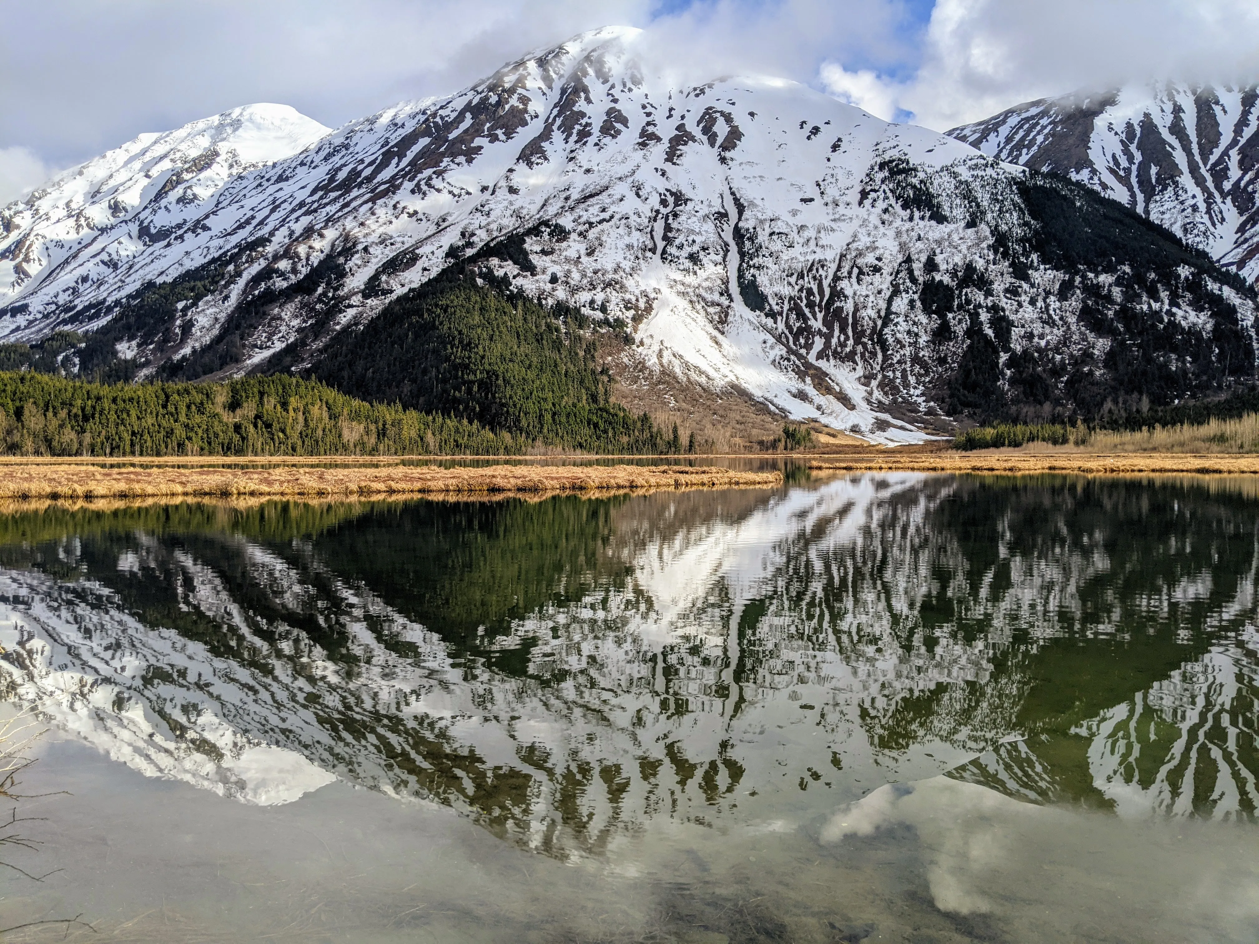 cooper landing reflection.D9N8Tb3h.jpg