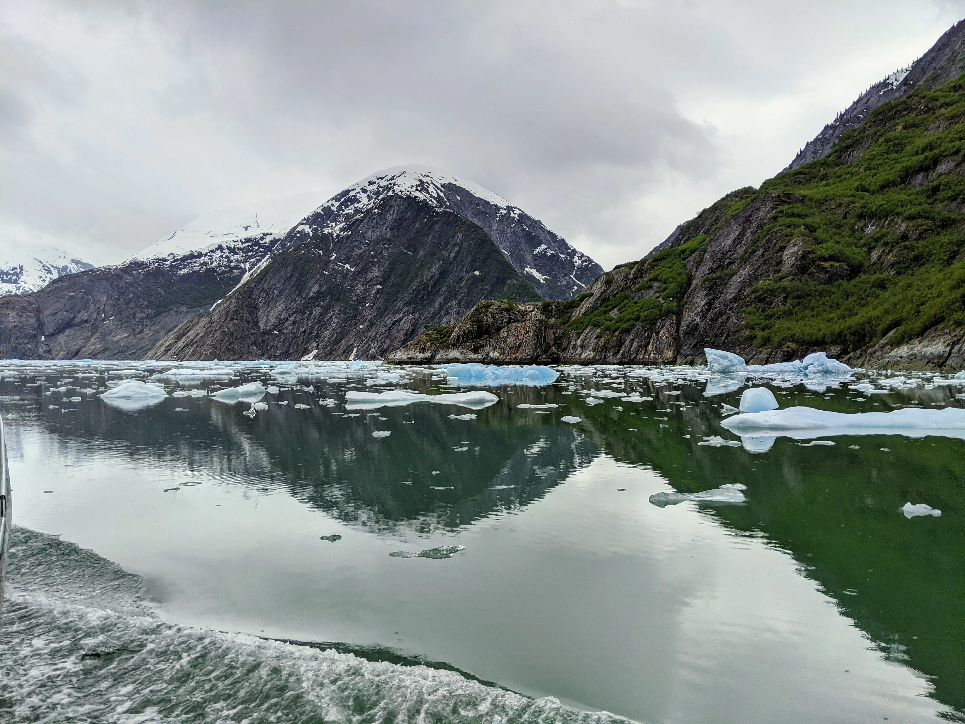 cruise floating ice.BP8wKJbl.jpg