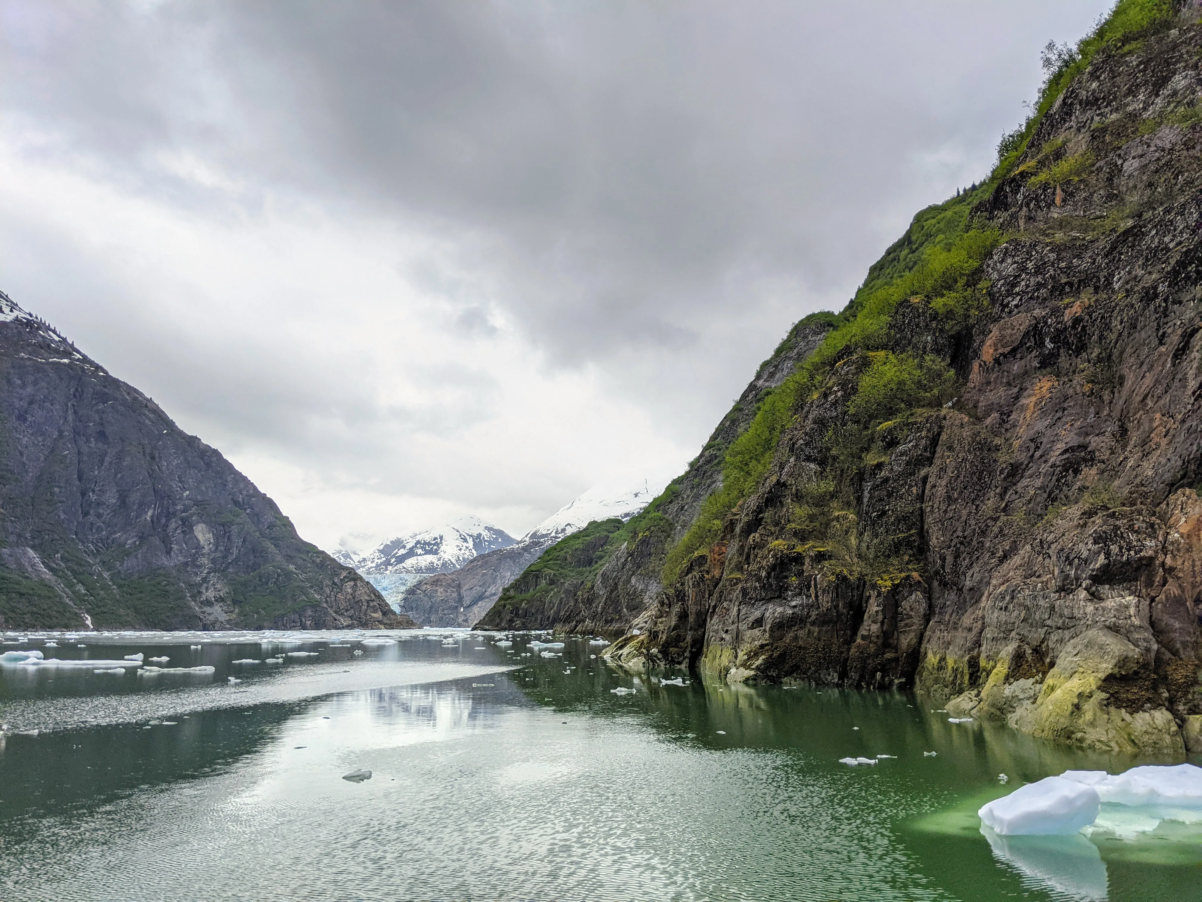 cruise greenery.DUSiw13x.jpg