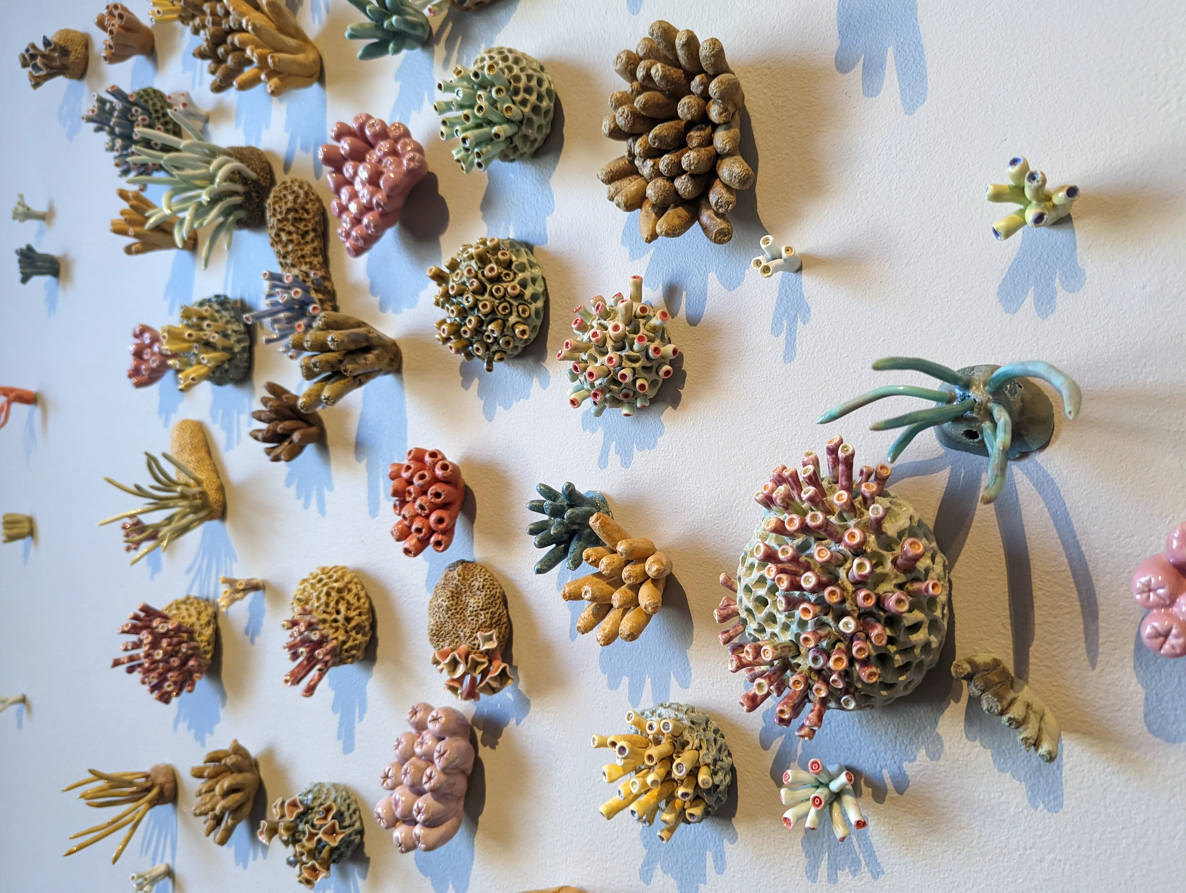 dartmouth color wall.D7D87ecT.jpg