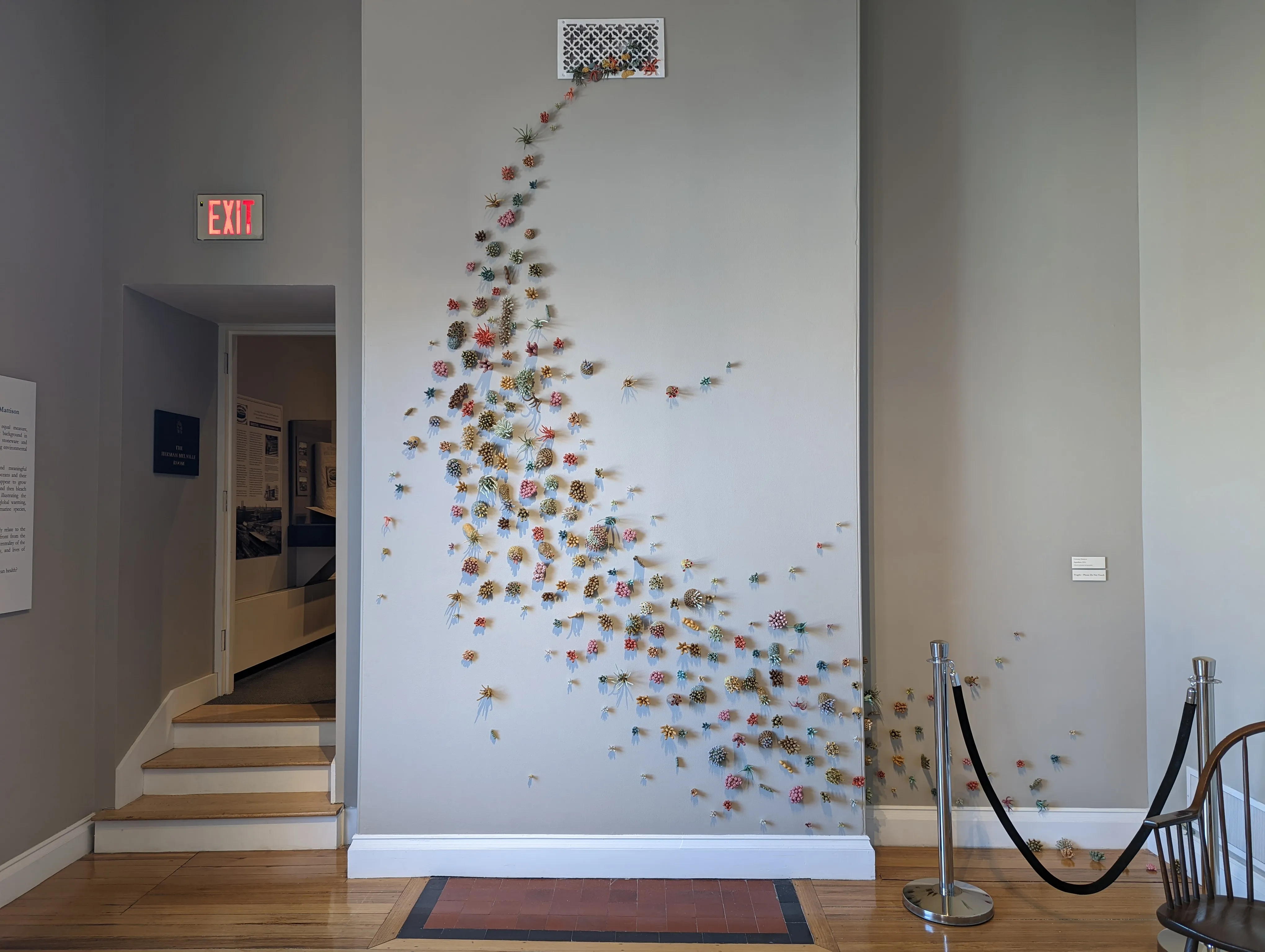 dartmouth coral arc.C 48MfEj.jpg