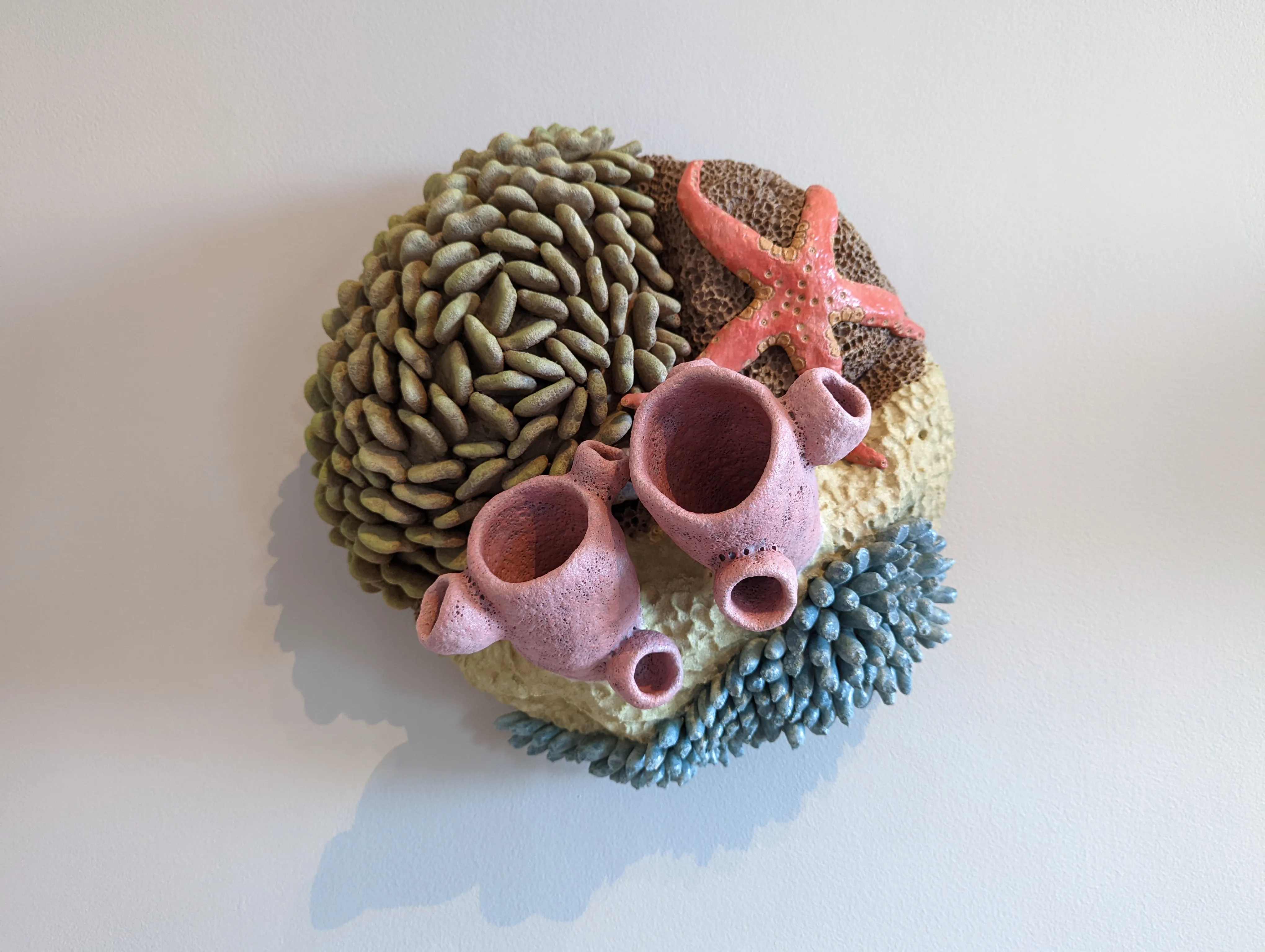 dartmouth coral pink.z_lXZP9n.jpg