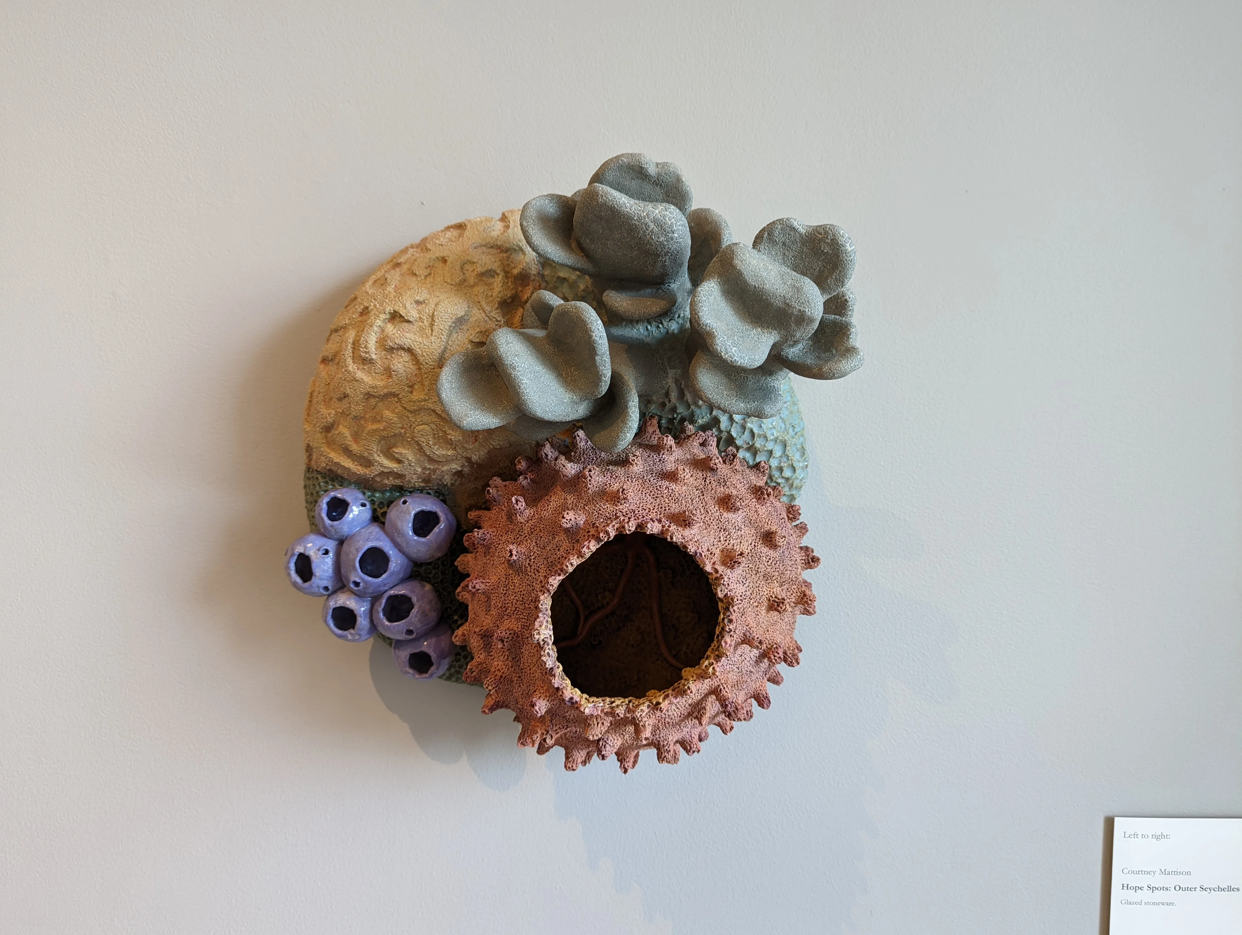 dartmouth coral red.Djrozzwf.jpg