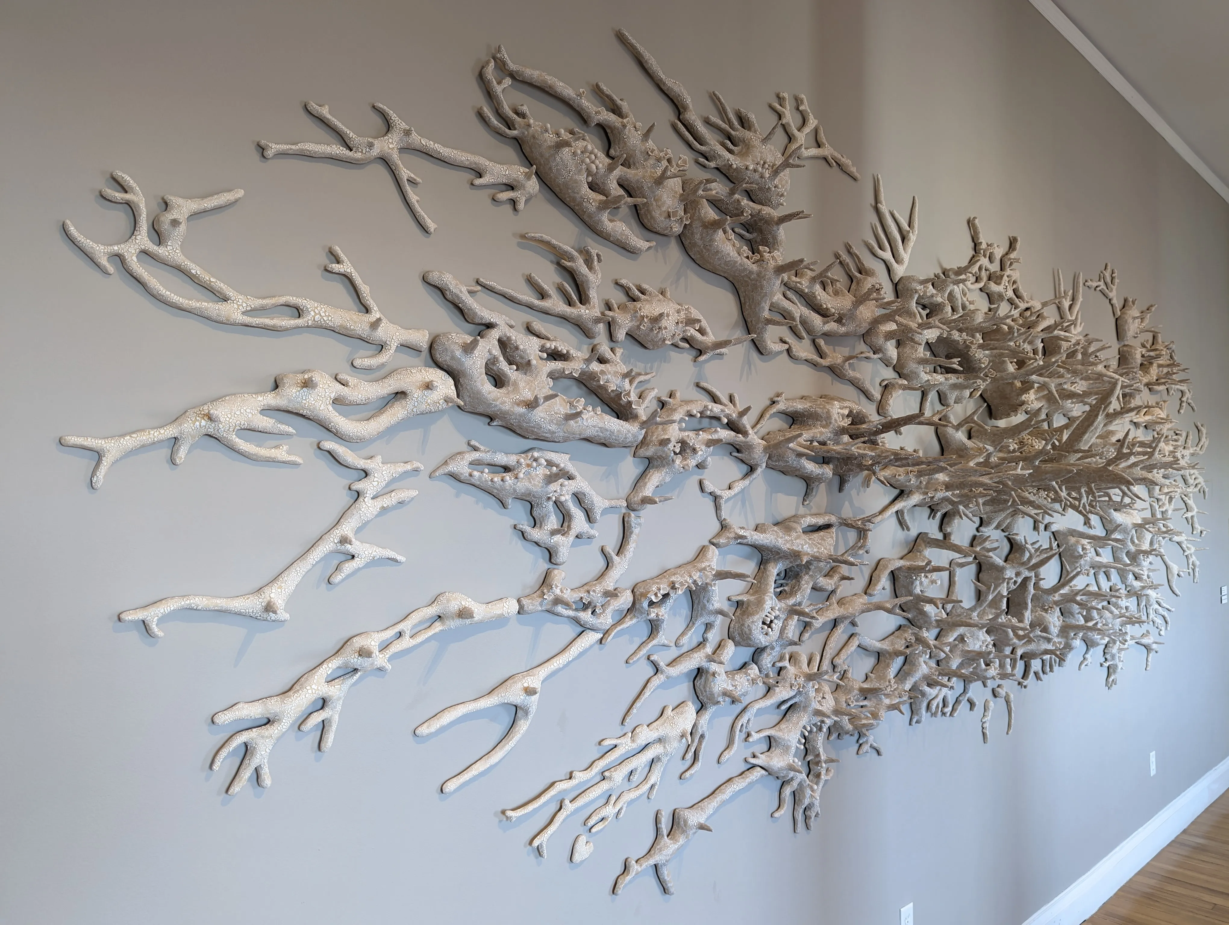 dartmouth coral white wall.B4B6EA1I.jpg