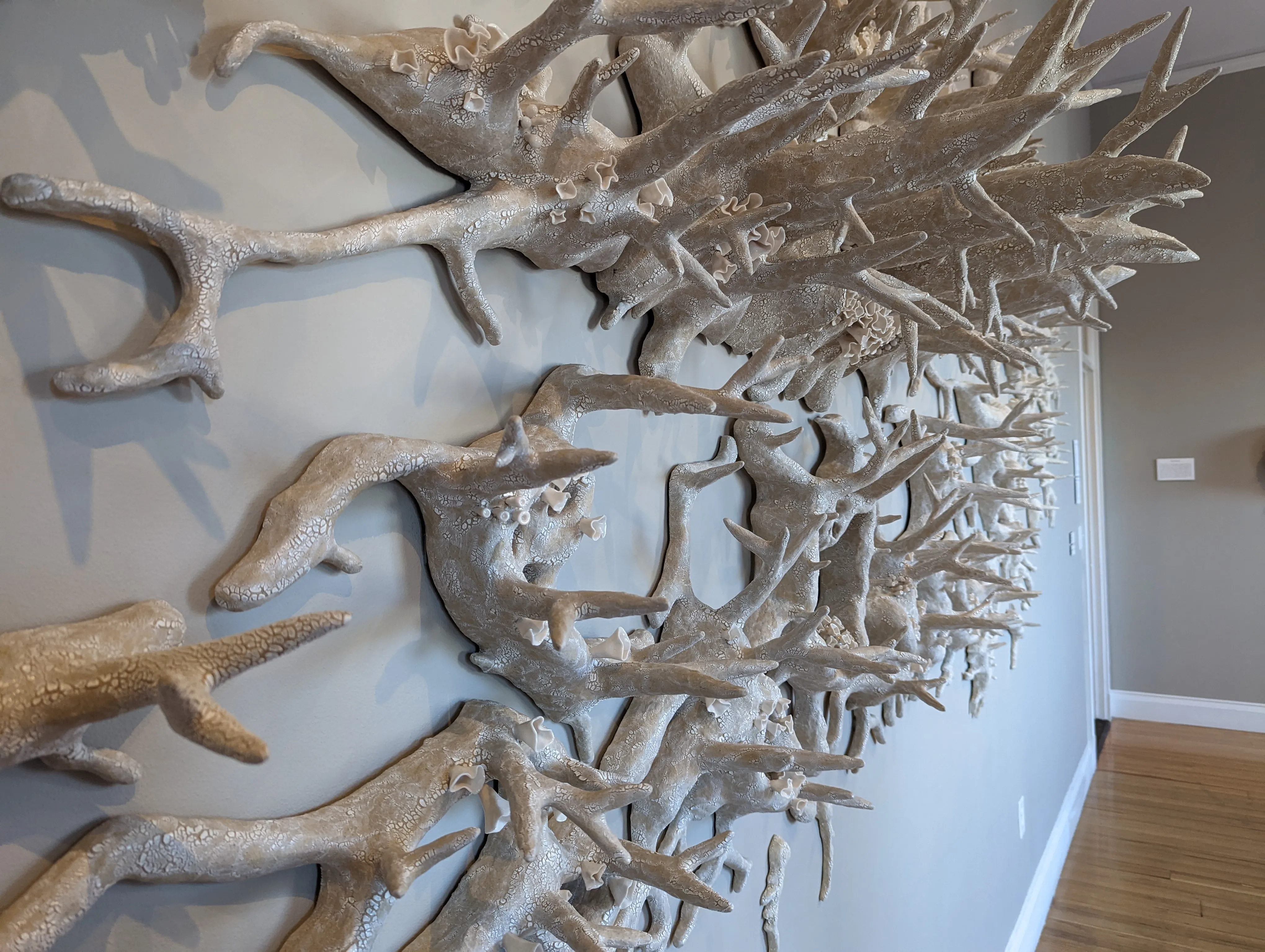 dartmouth coral white.Dl79eQHt.jpg