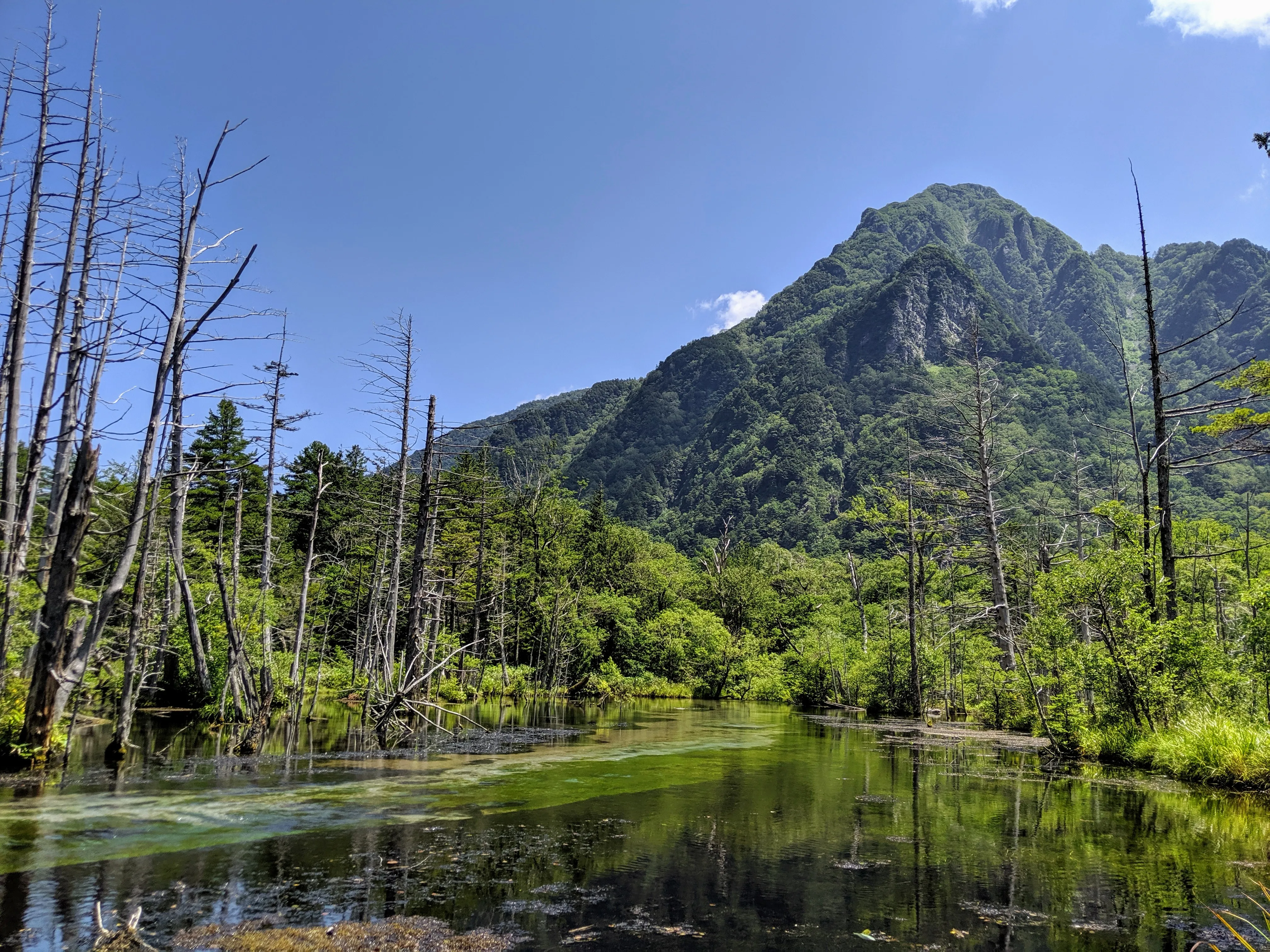 dead lake.D6IpnCbd.jpg