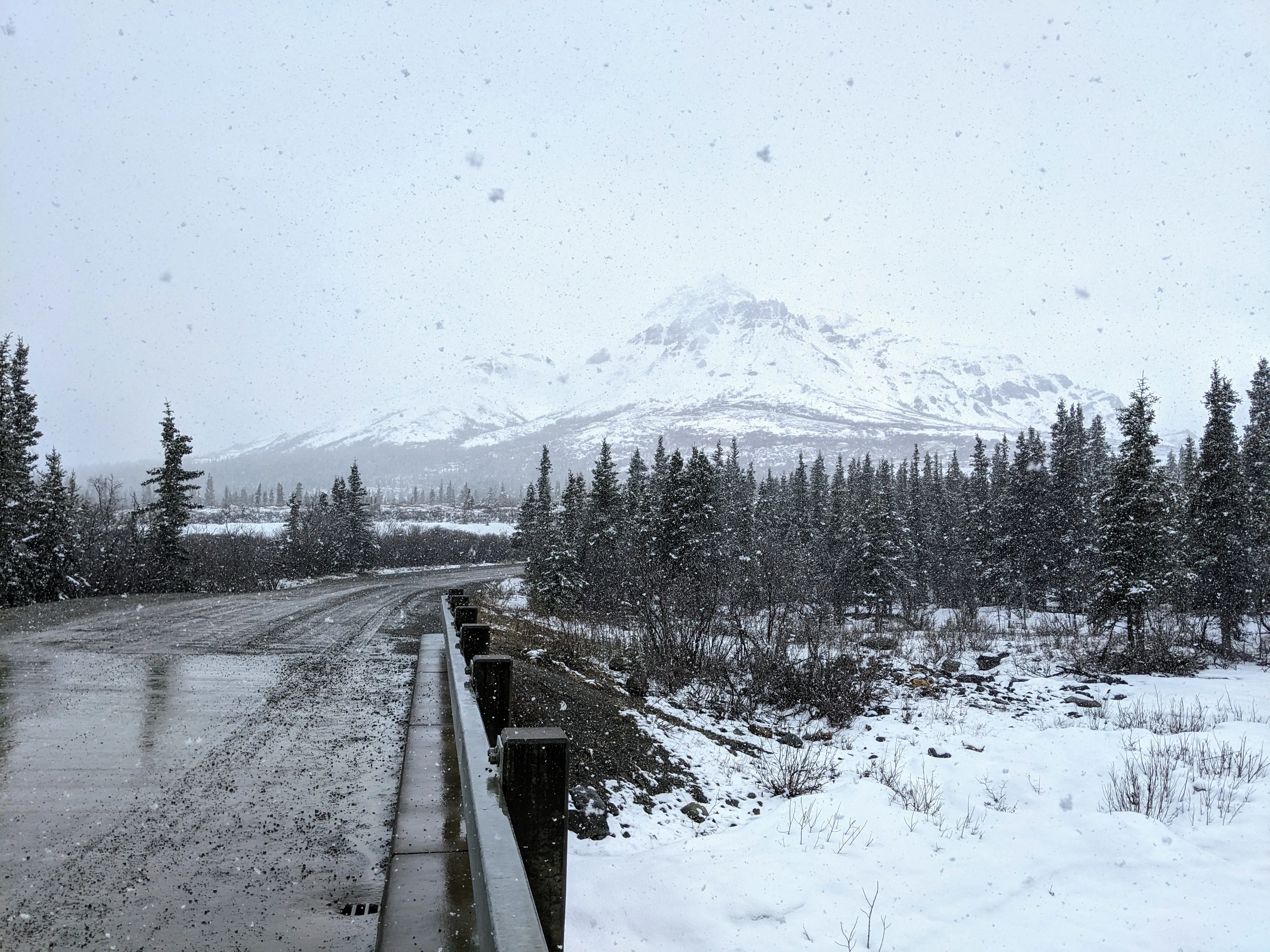 denali bridge.DOdwf7MK.jpg
