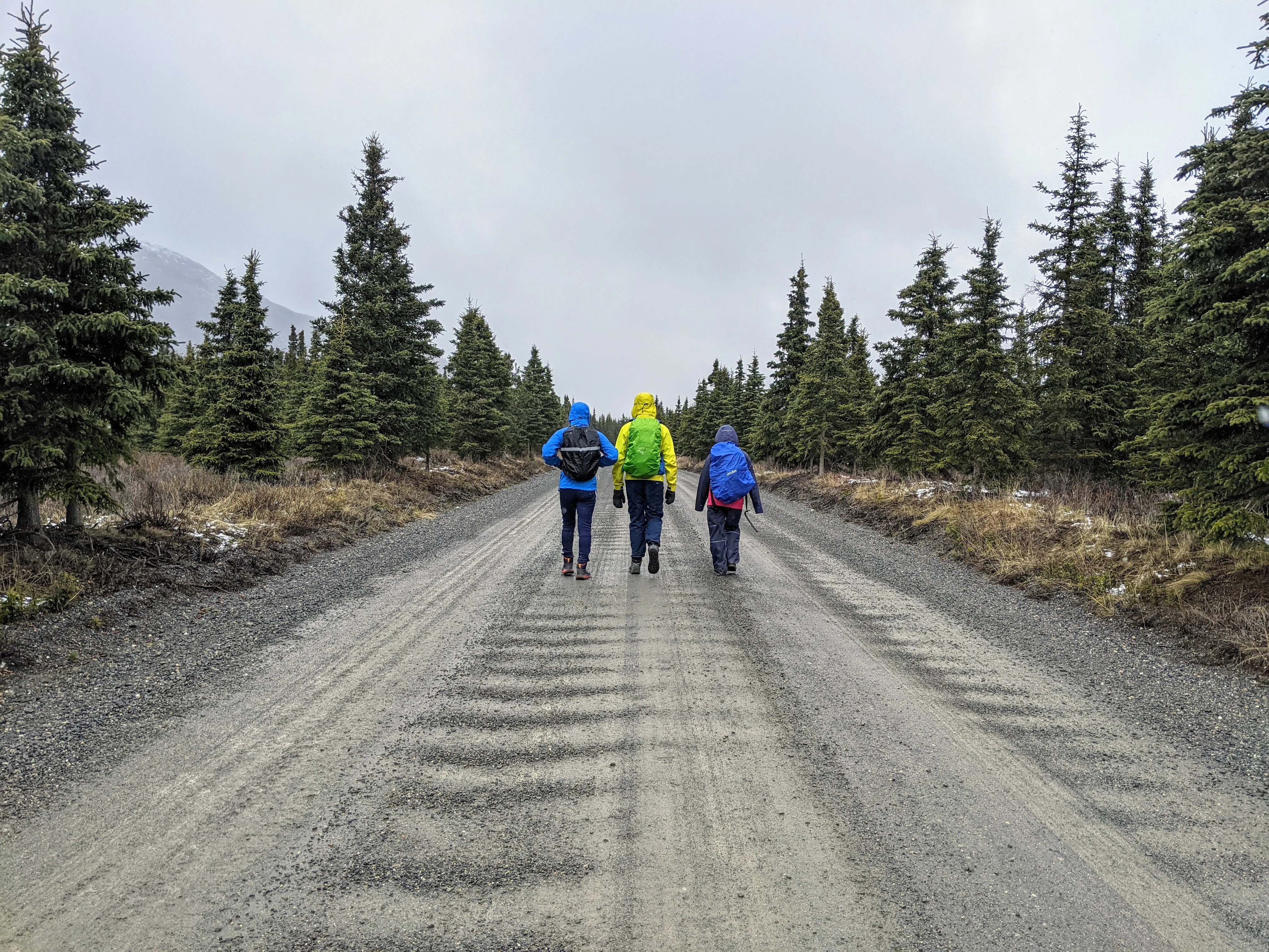 denali road group.BOgAYrNM.jpg