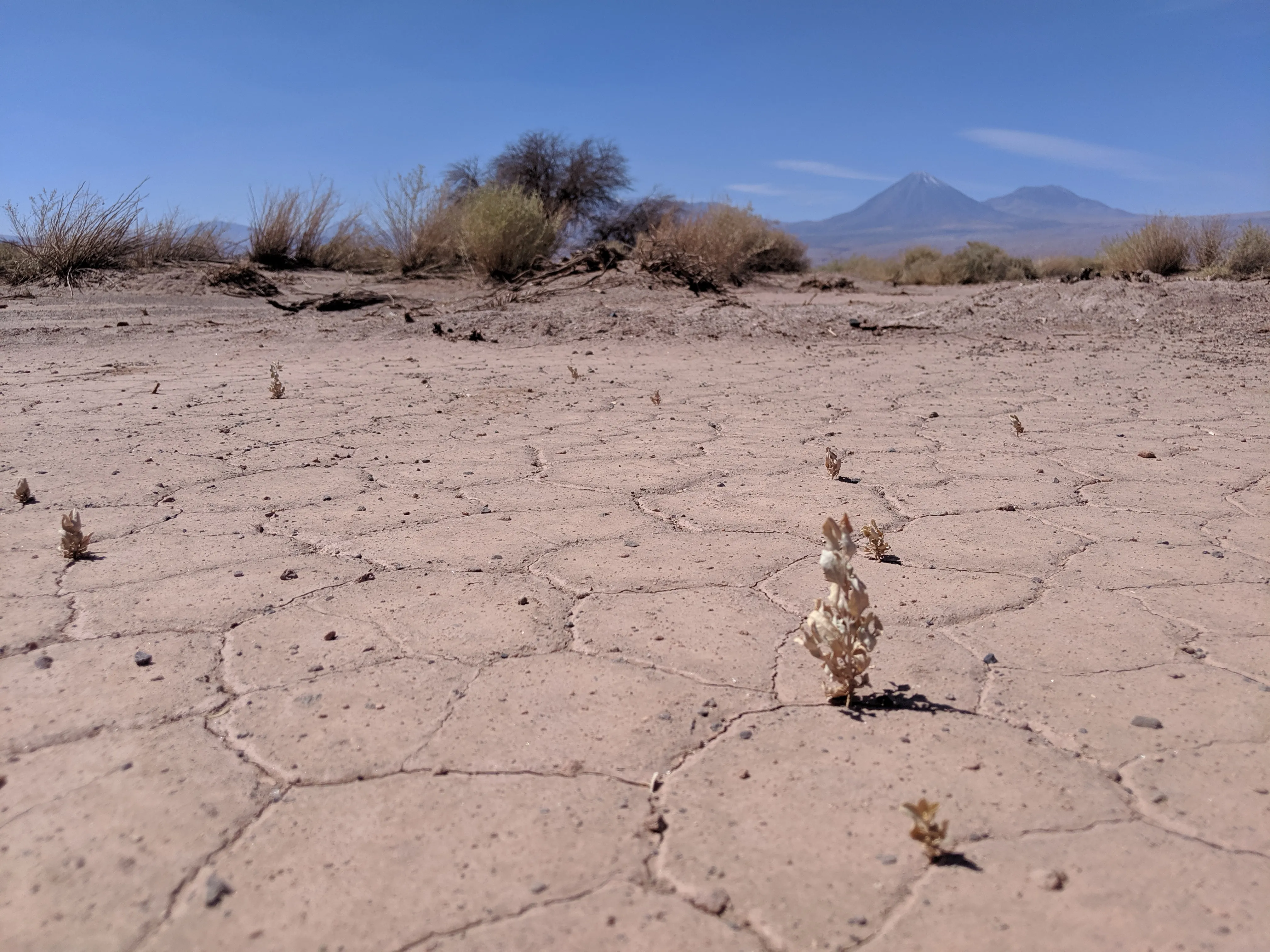 desert texture angle.CfPdEiYG.jpg