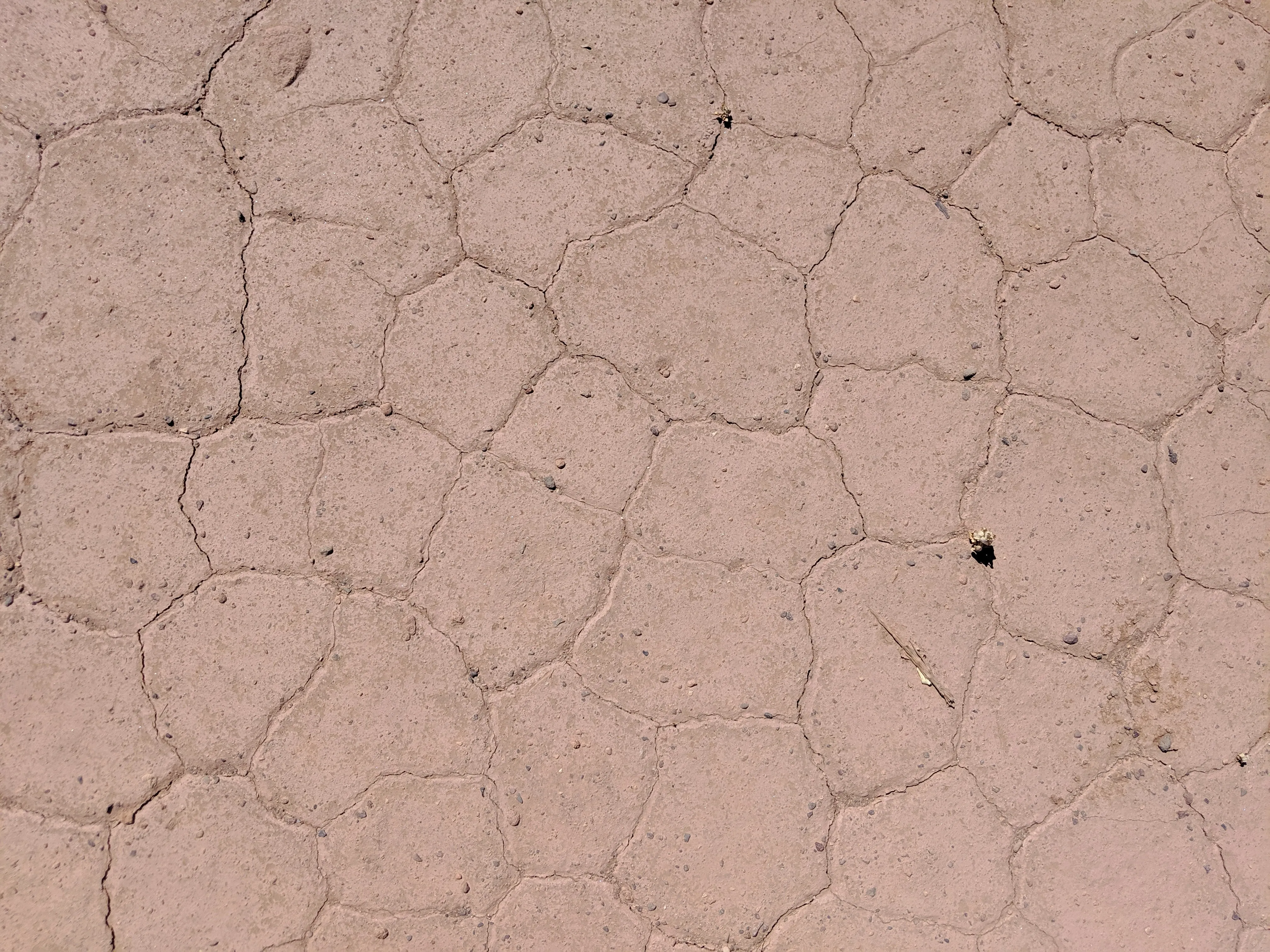 desert texture.C H7b9ME.jpg