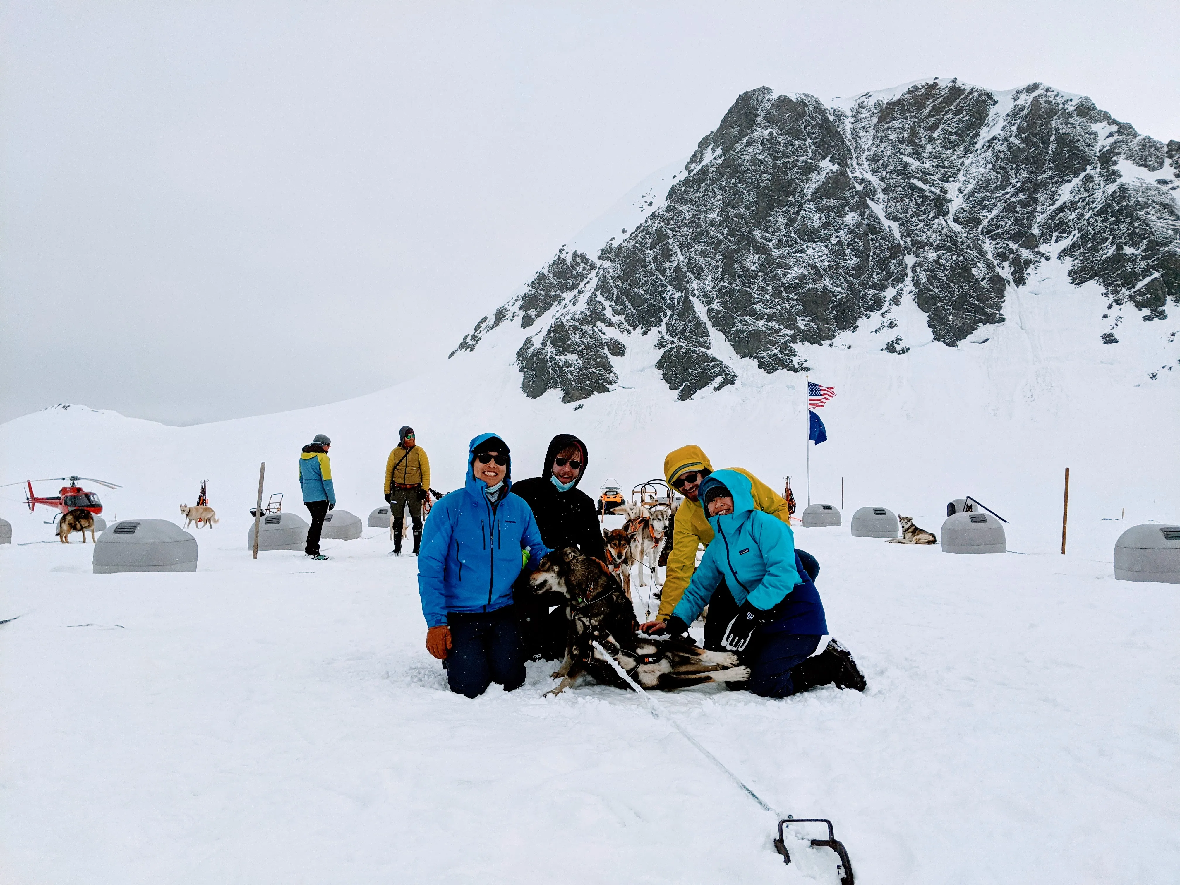 dogs group.SxHiSCim.jpg