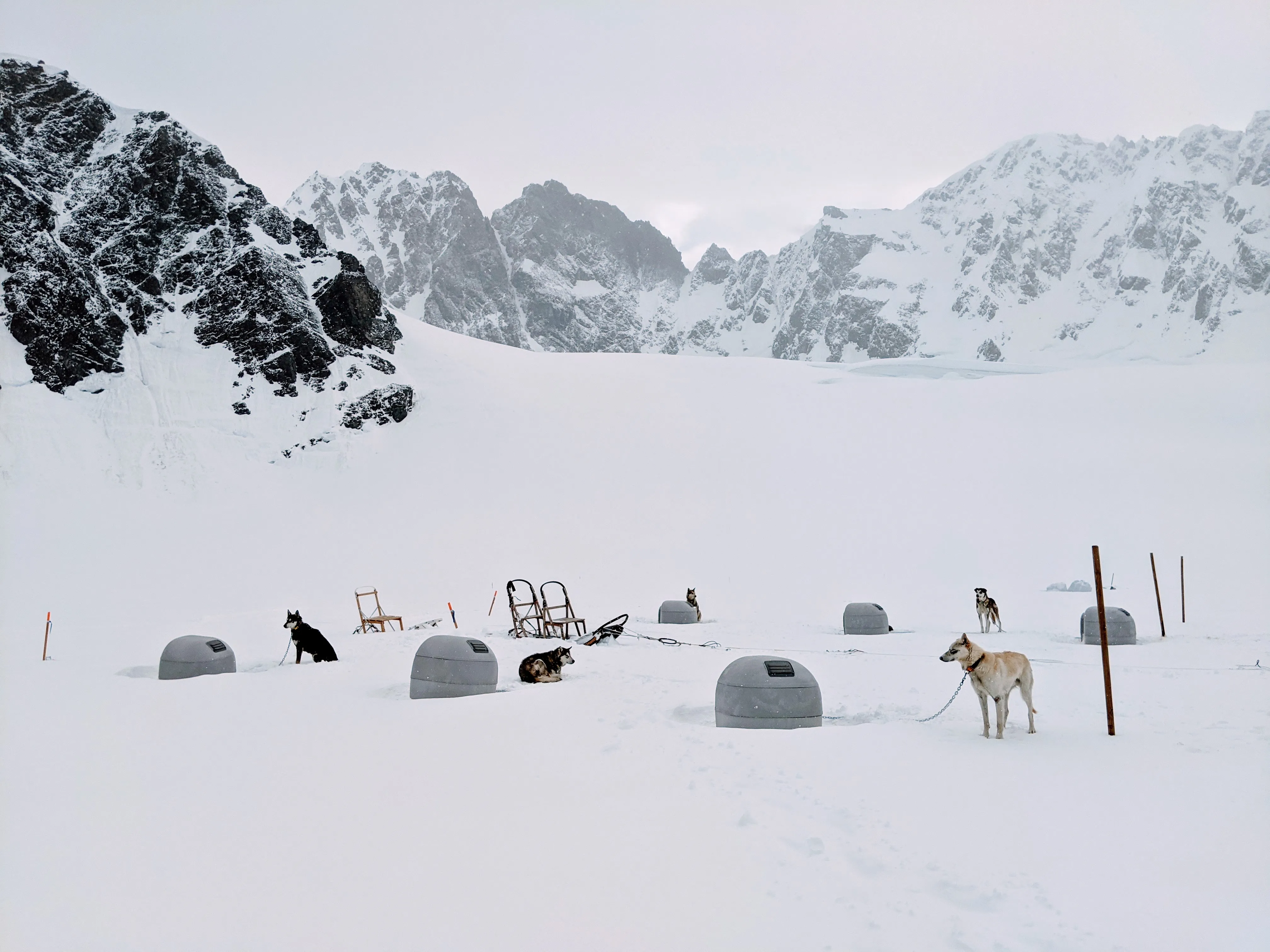 dogs houses.D 37ZE5P.jpg