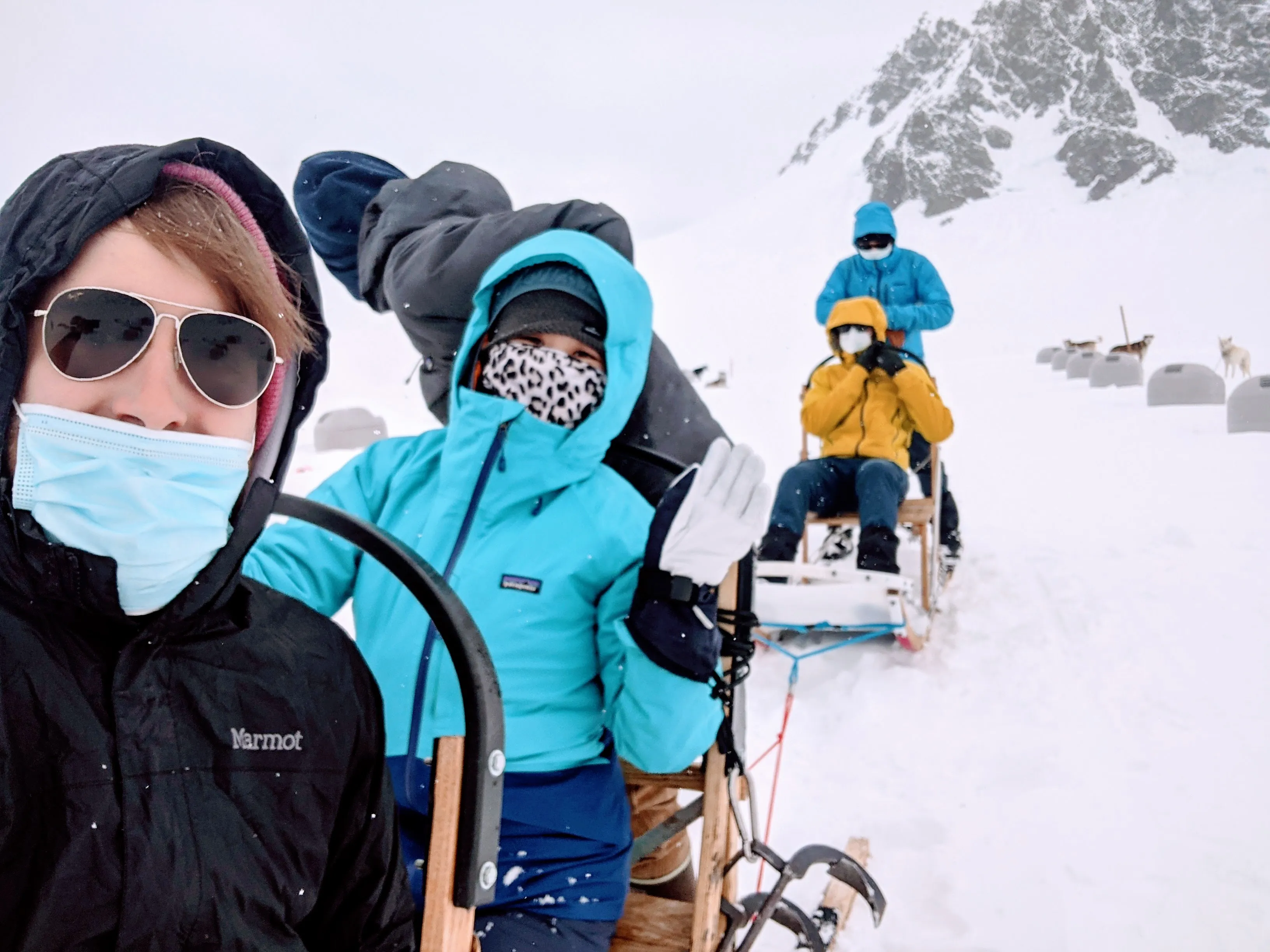 dogs sledding.BmZnZ1Oe.jpg