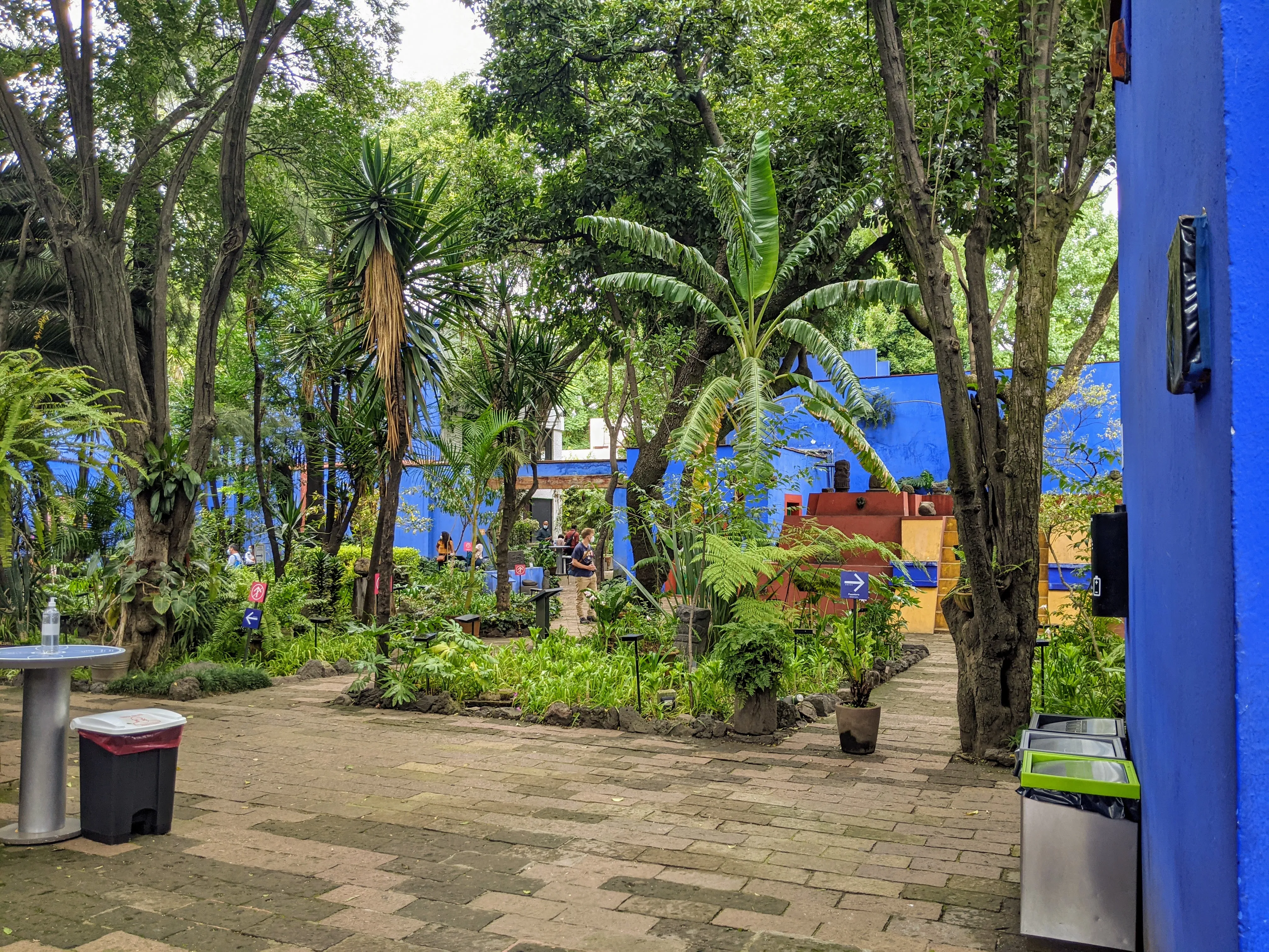 frida kahlo garden.C79WFf2T.jpg