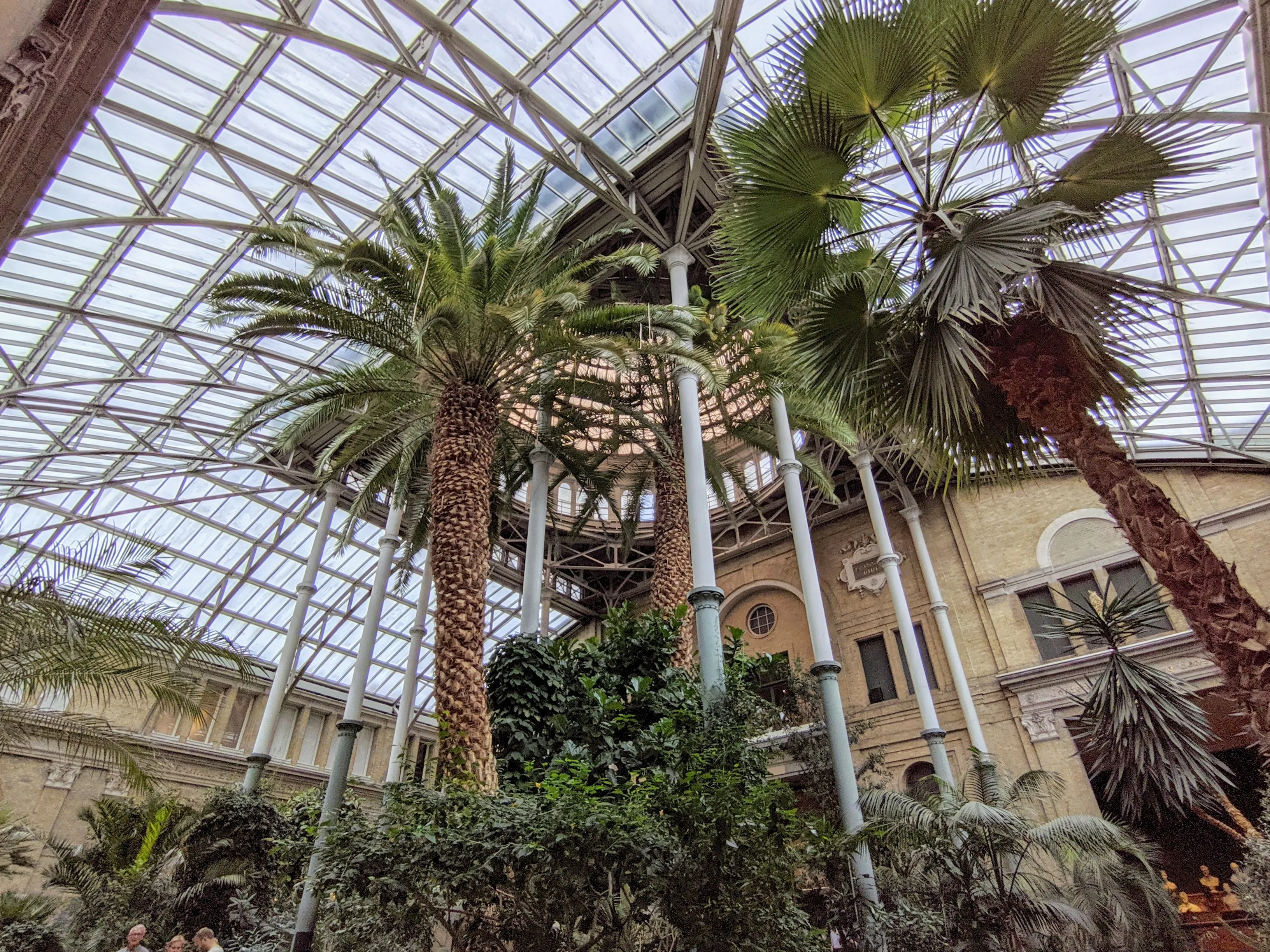 glyptotek palm.CdxuYLn3.jpg