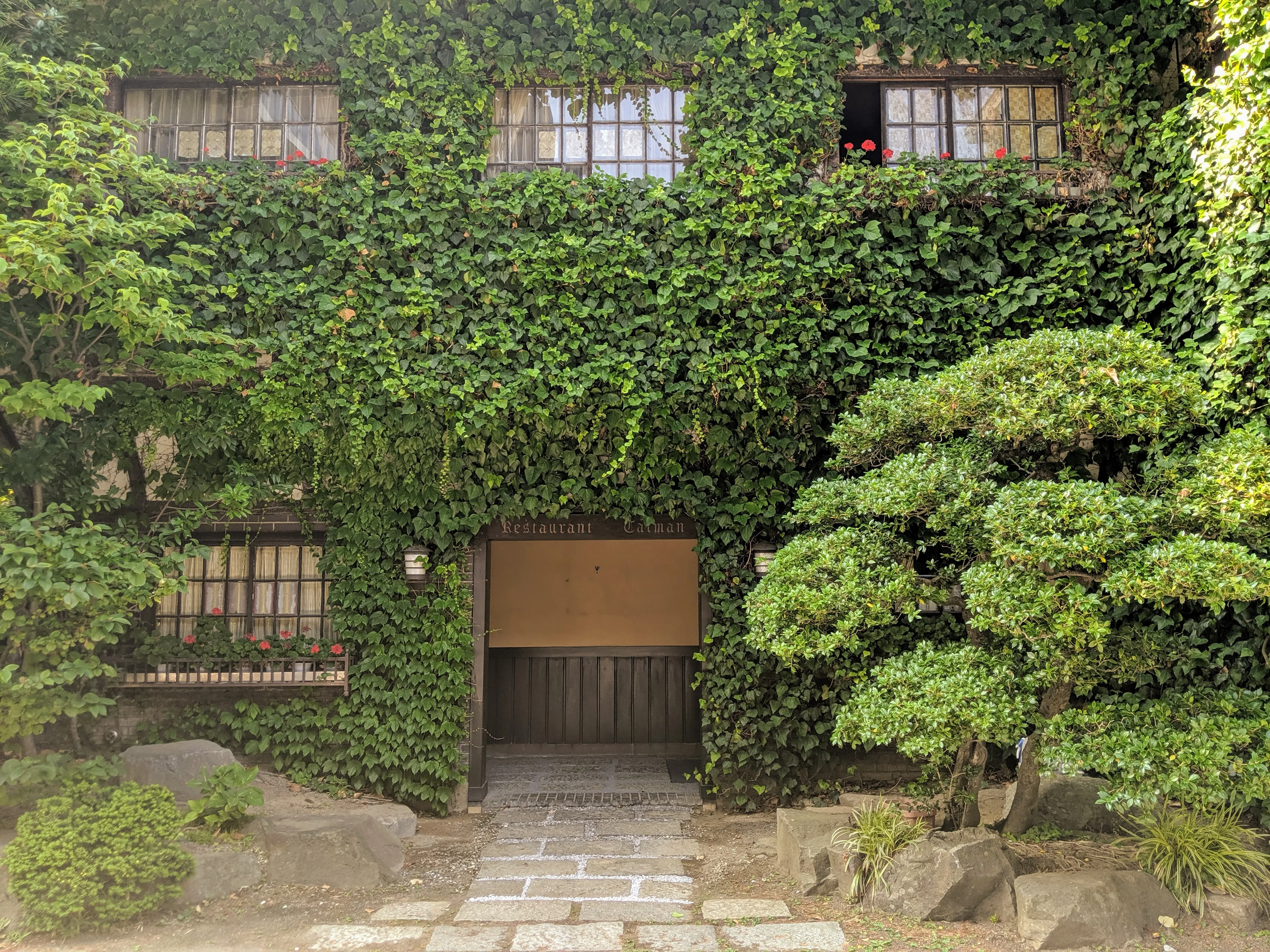 green wall.B_vk3izv.jpg