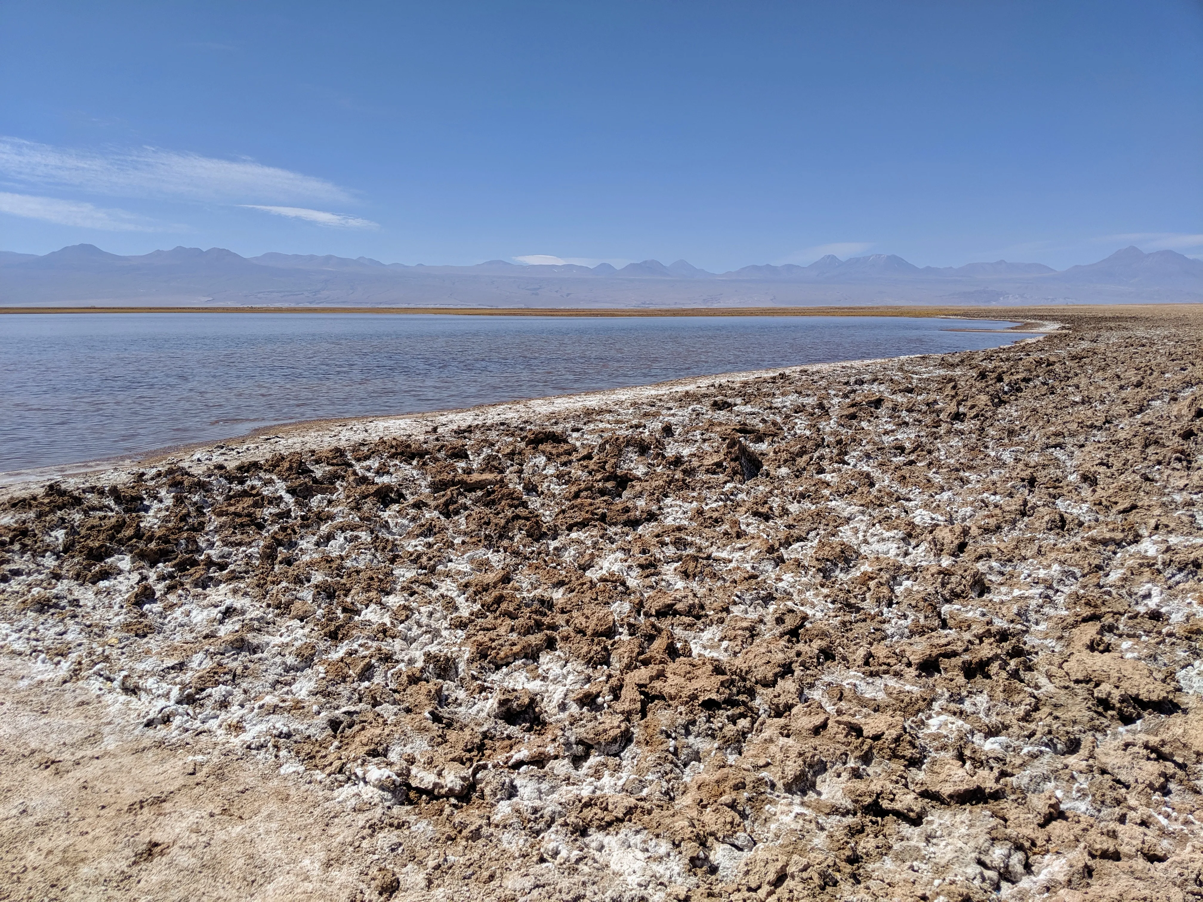 laguna tebinquinche coast.ByxxUZXB.jpg