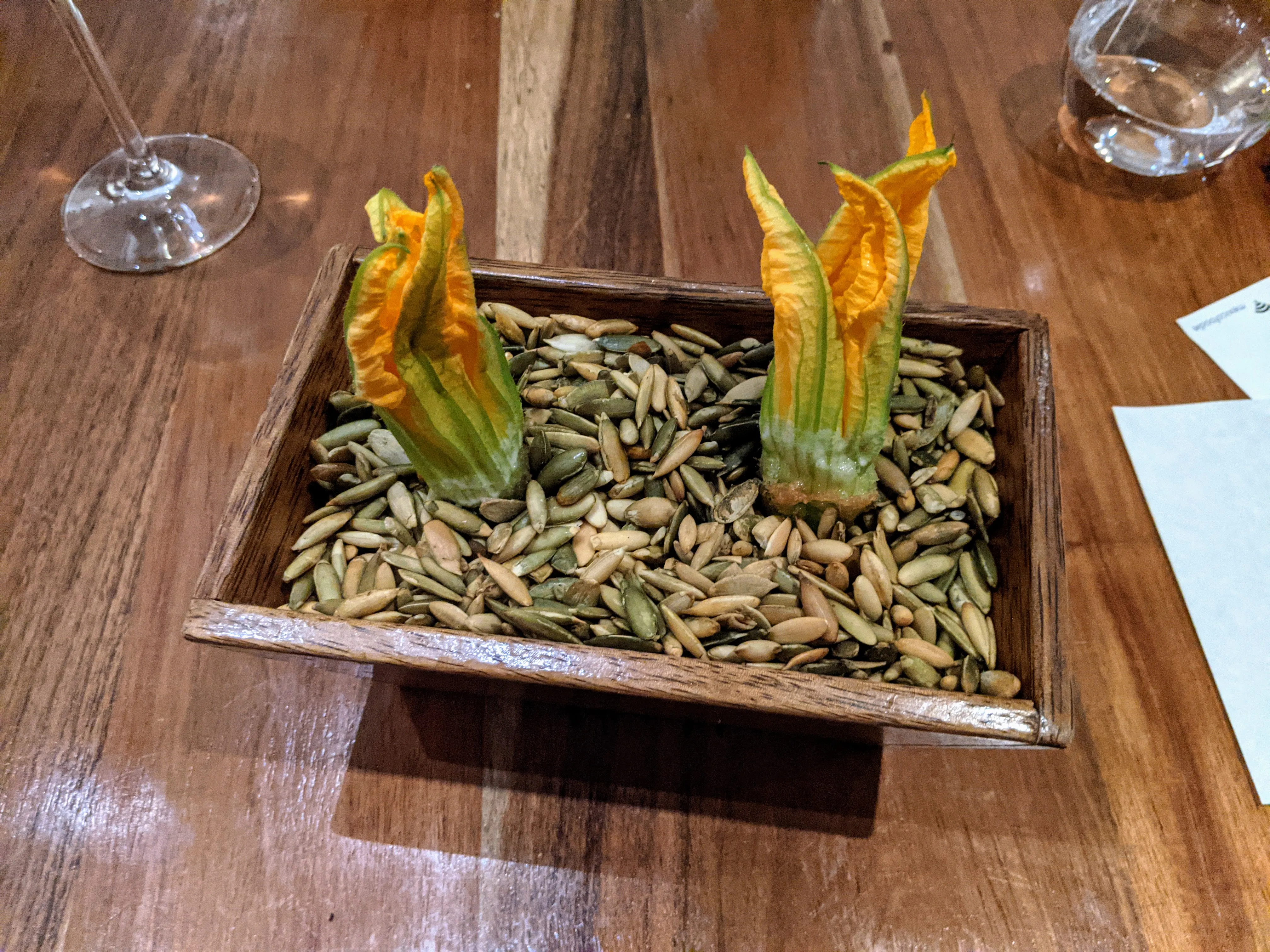 lorea blossoms.DlYz2mE_.jpg