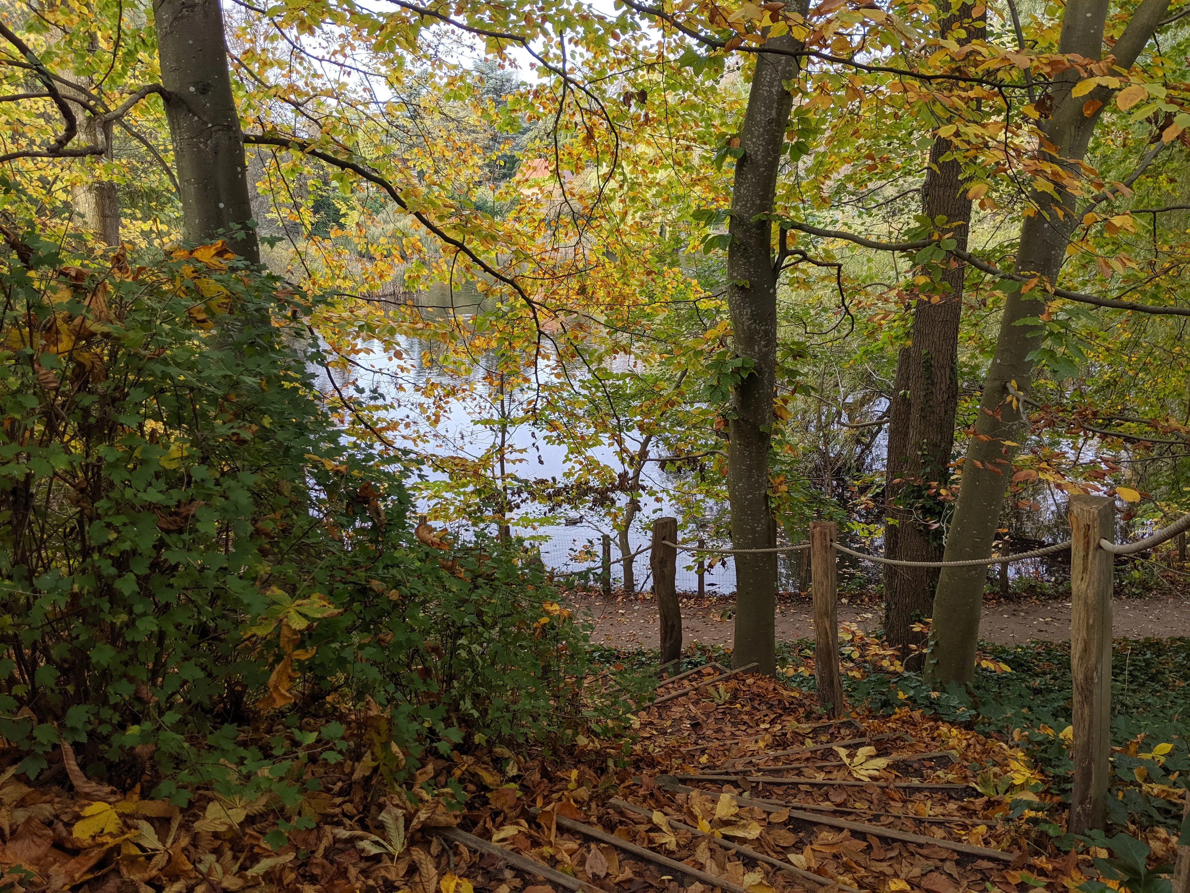 louisiana lake stairs down.CxN60_Vm.jpg