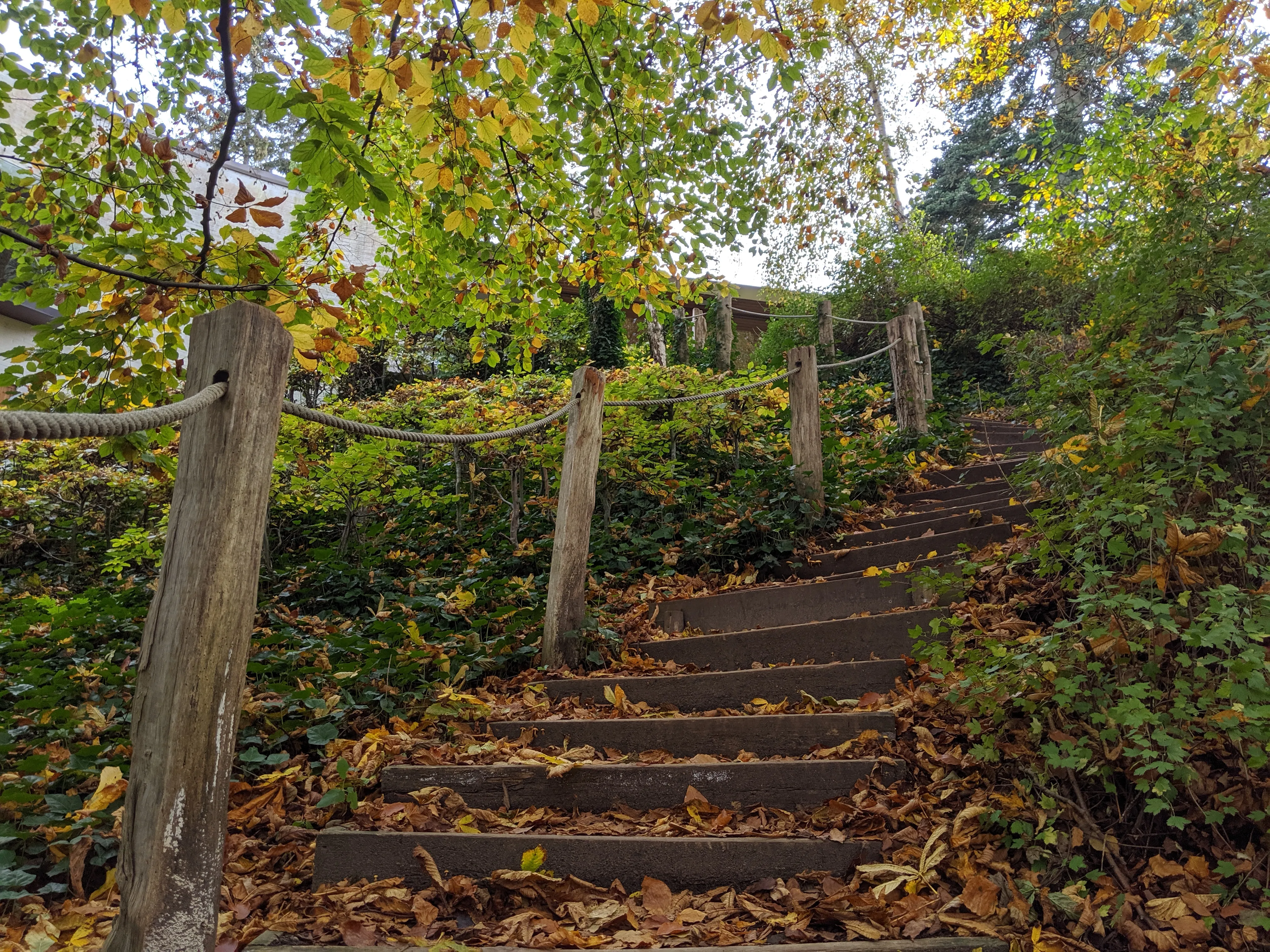 louisiana lake stairs up.ExKfcdrs.jpg