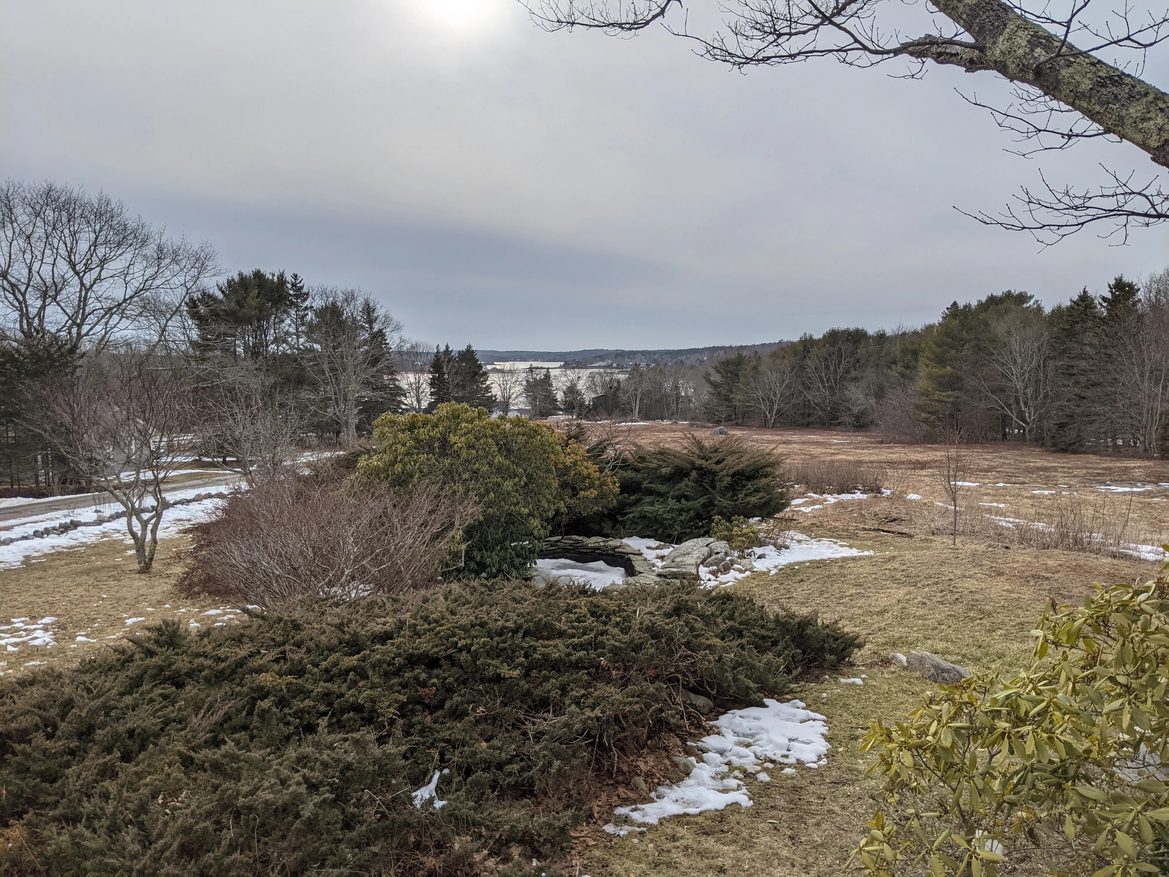 maine backyard view.C0U20yqC.jpg