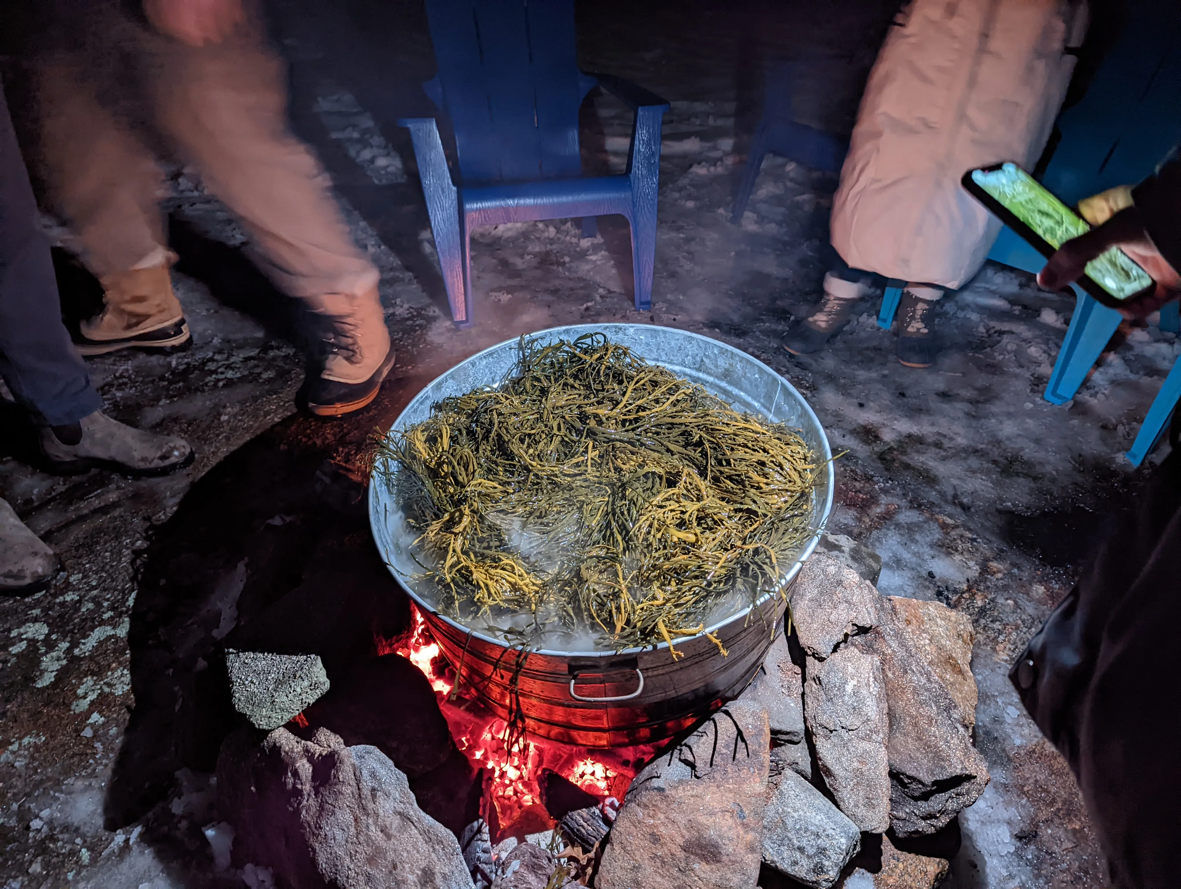 me seaweed.6ZFV6Xw5.jpg