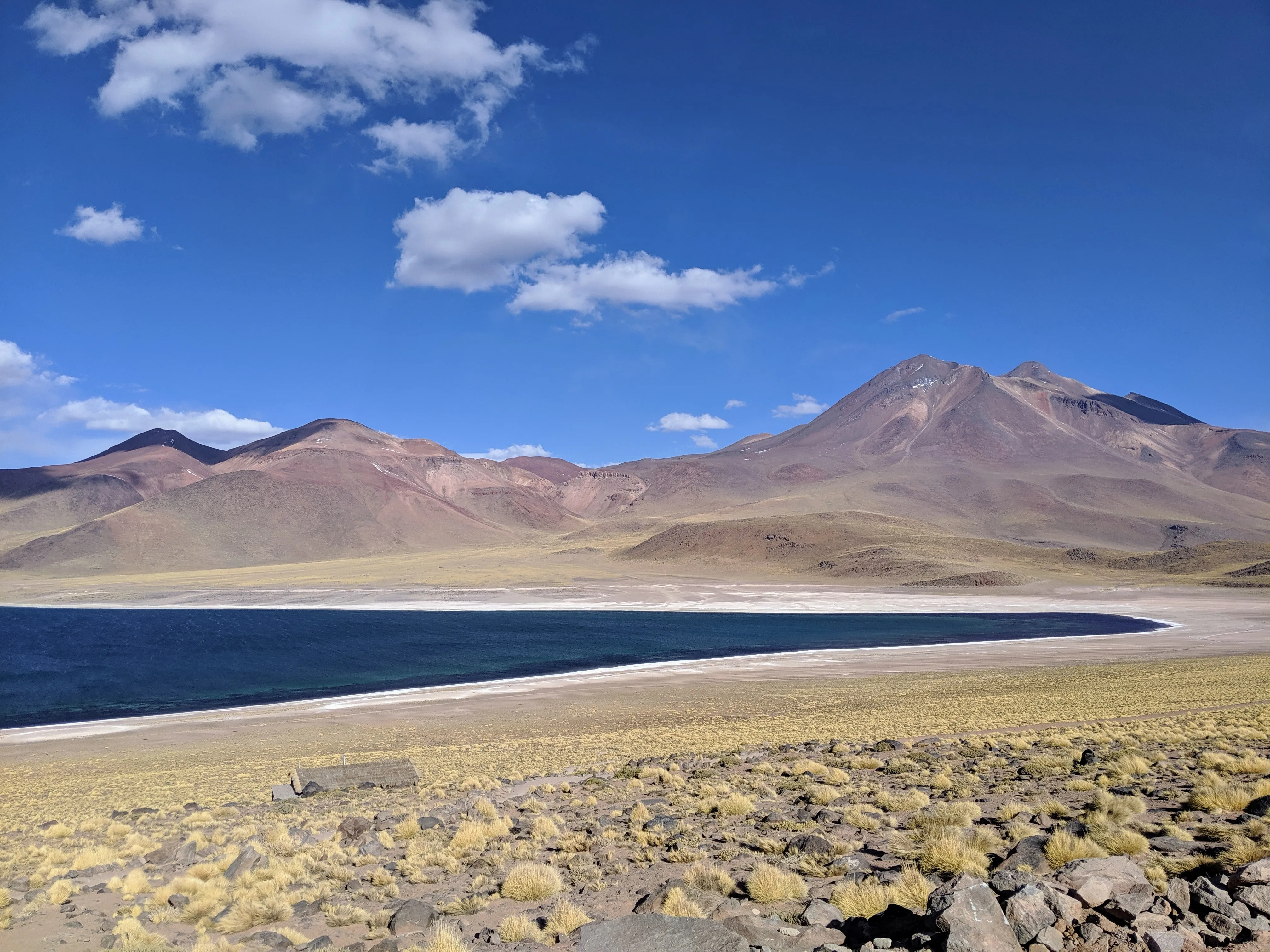 miscanti miniques 3.Dp05g_ss.jpg