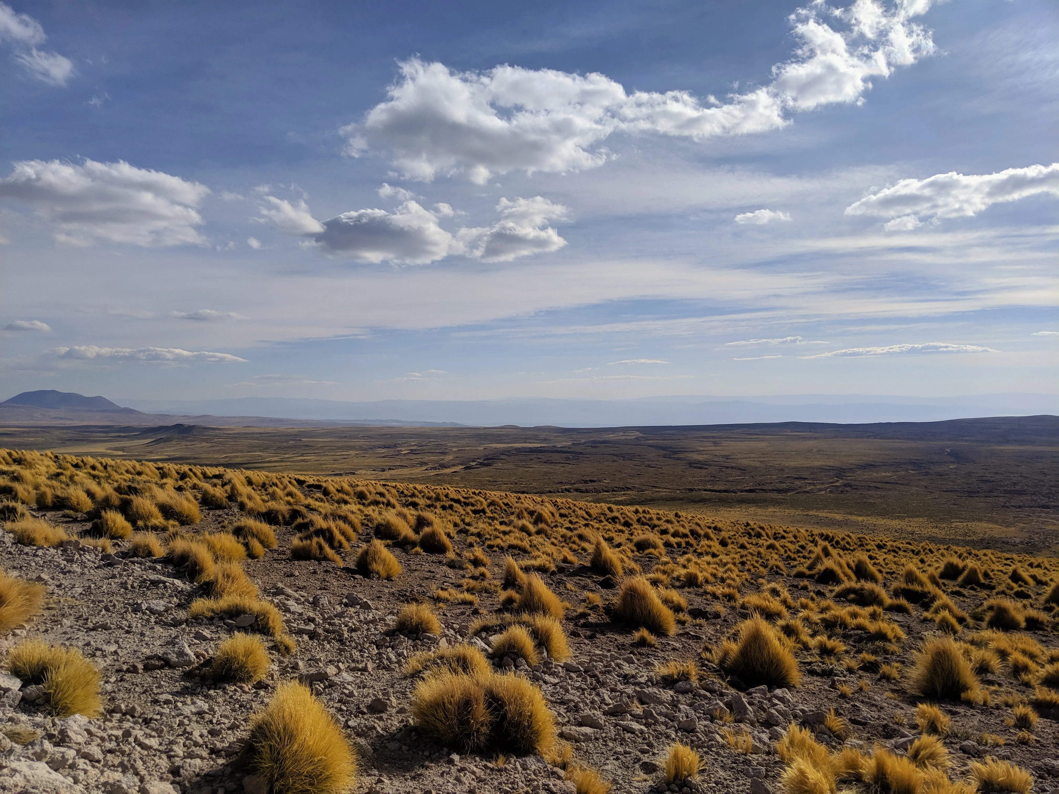 miscanti miniques descent 2.Da9KzfE7.jpg