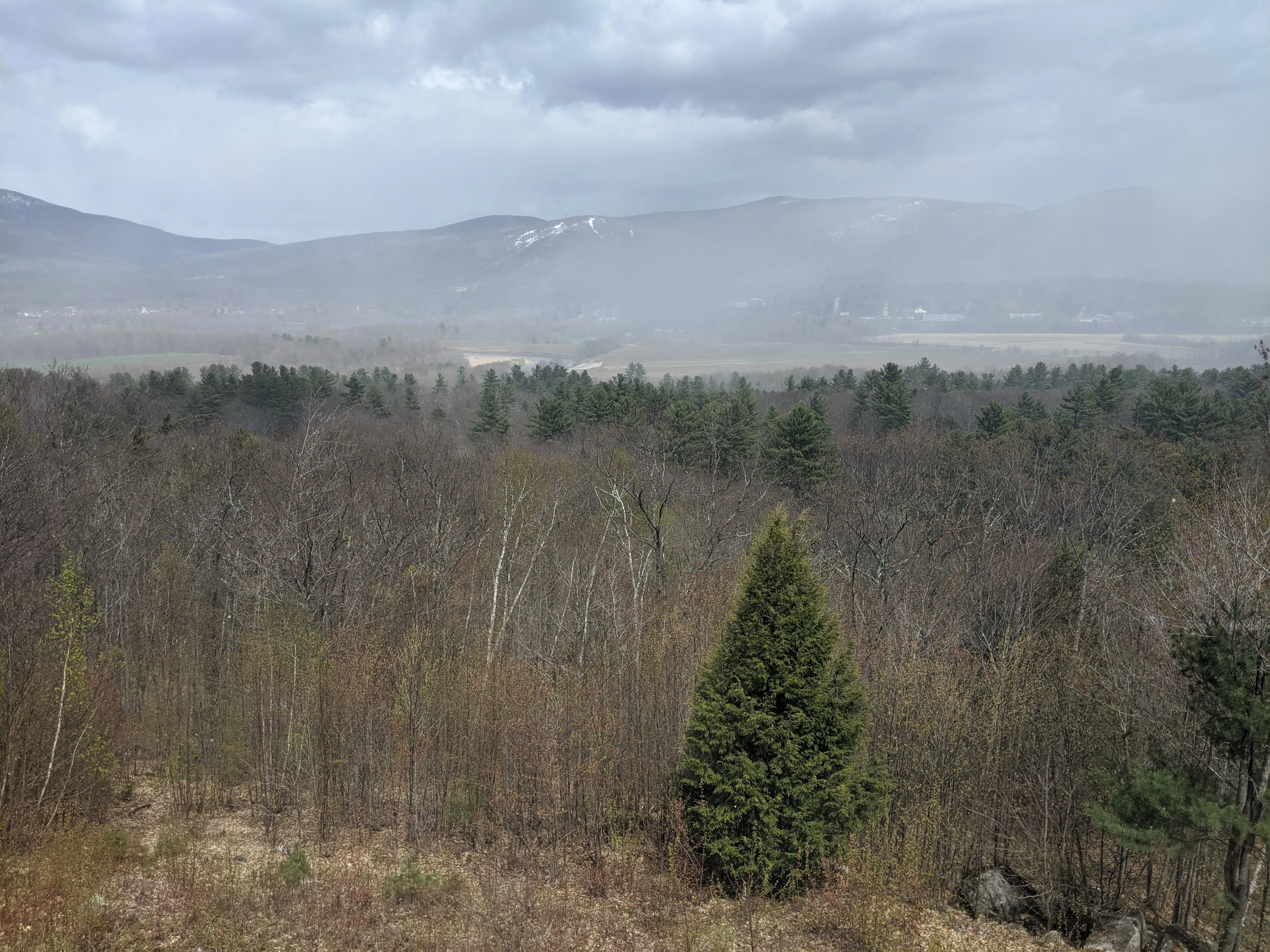 nh bedroom view winter no snow.CdxdOeeH.jpg