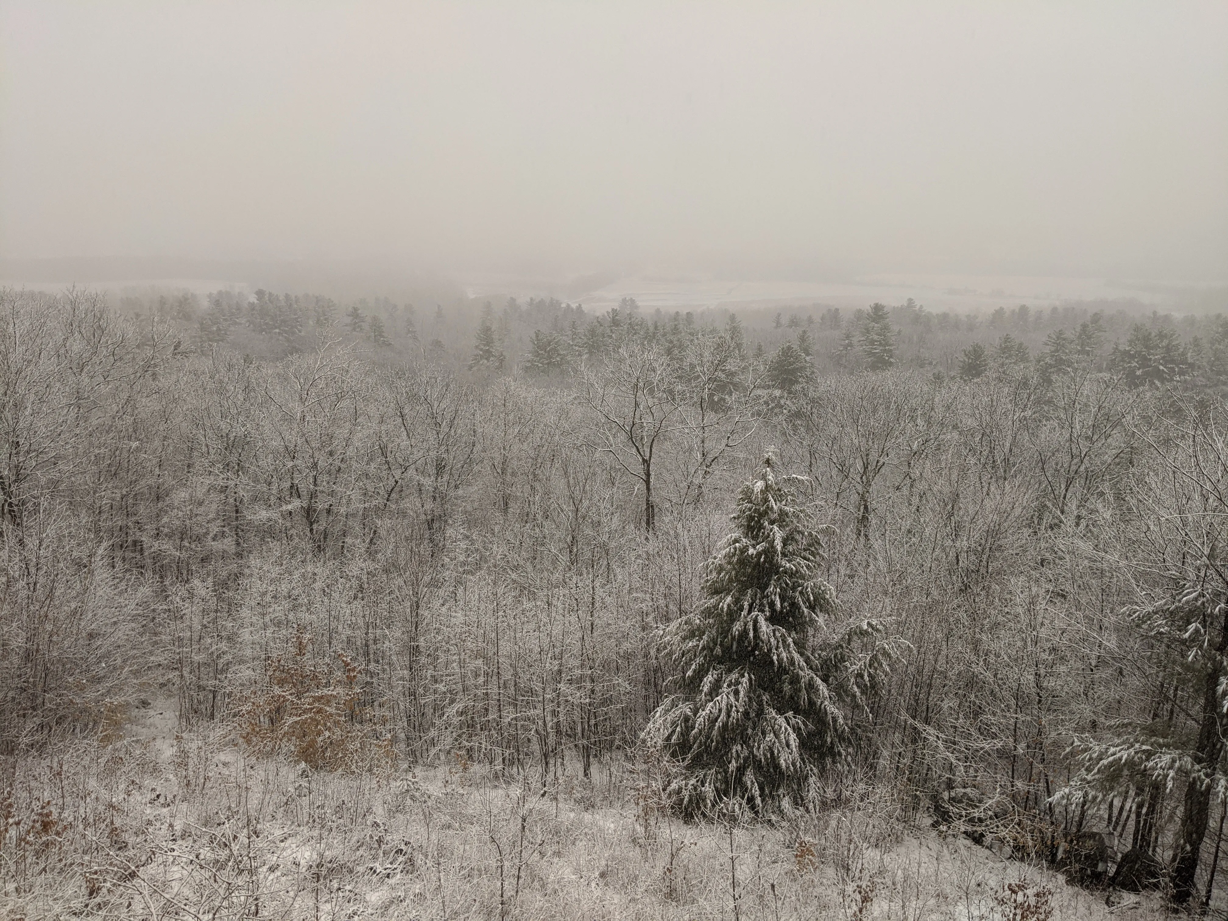 nh bedroom view winter.DWxNgT6m.jpg