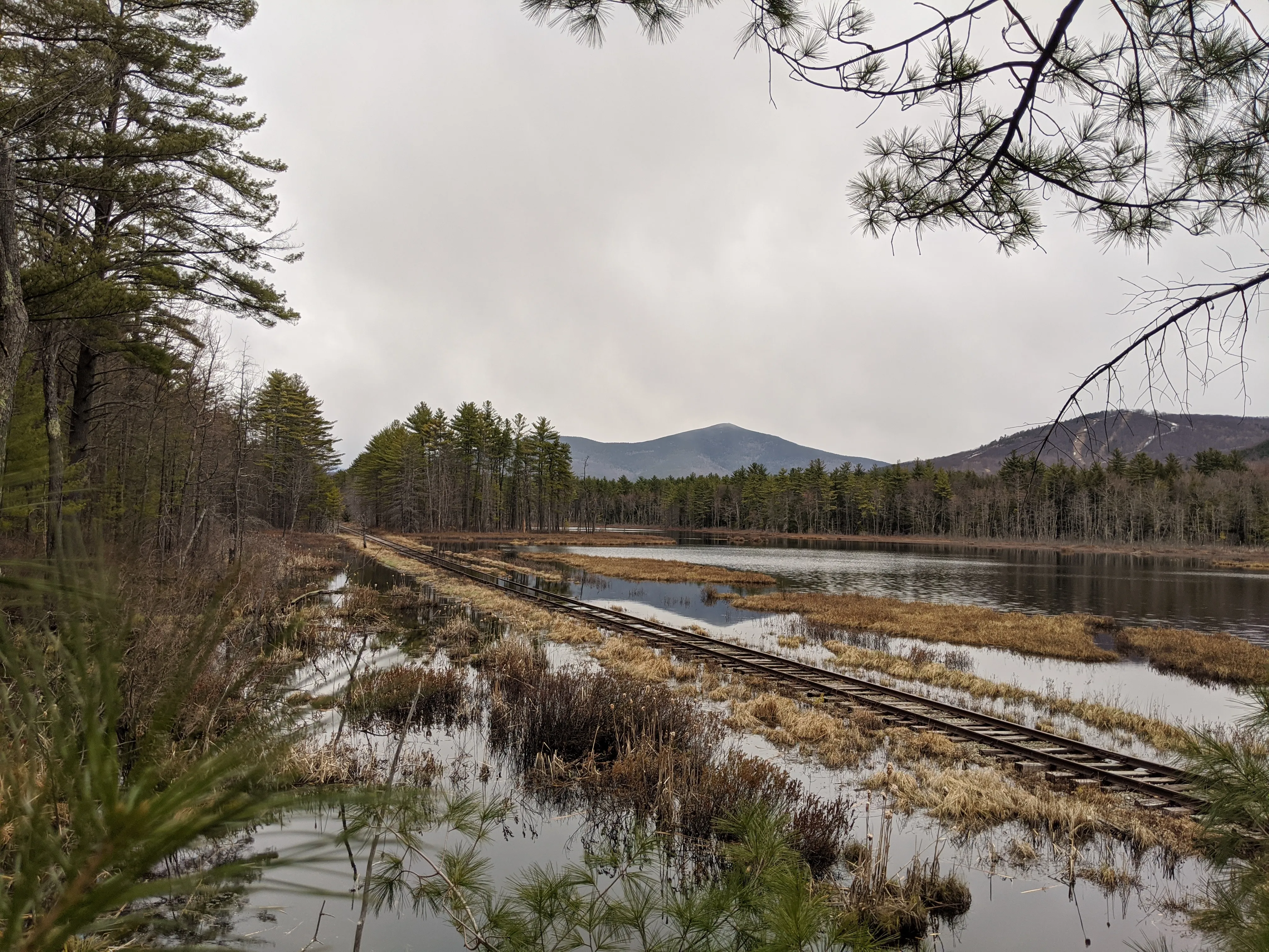nh train tracks.CIoeAKAq.jpg