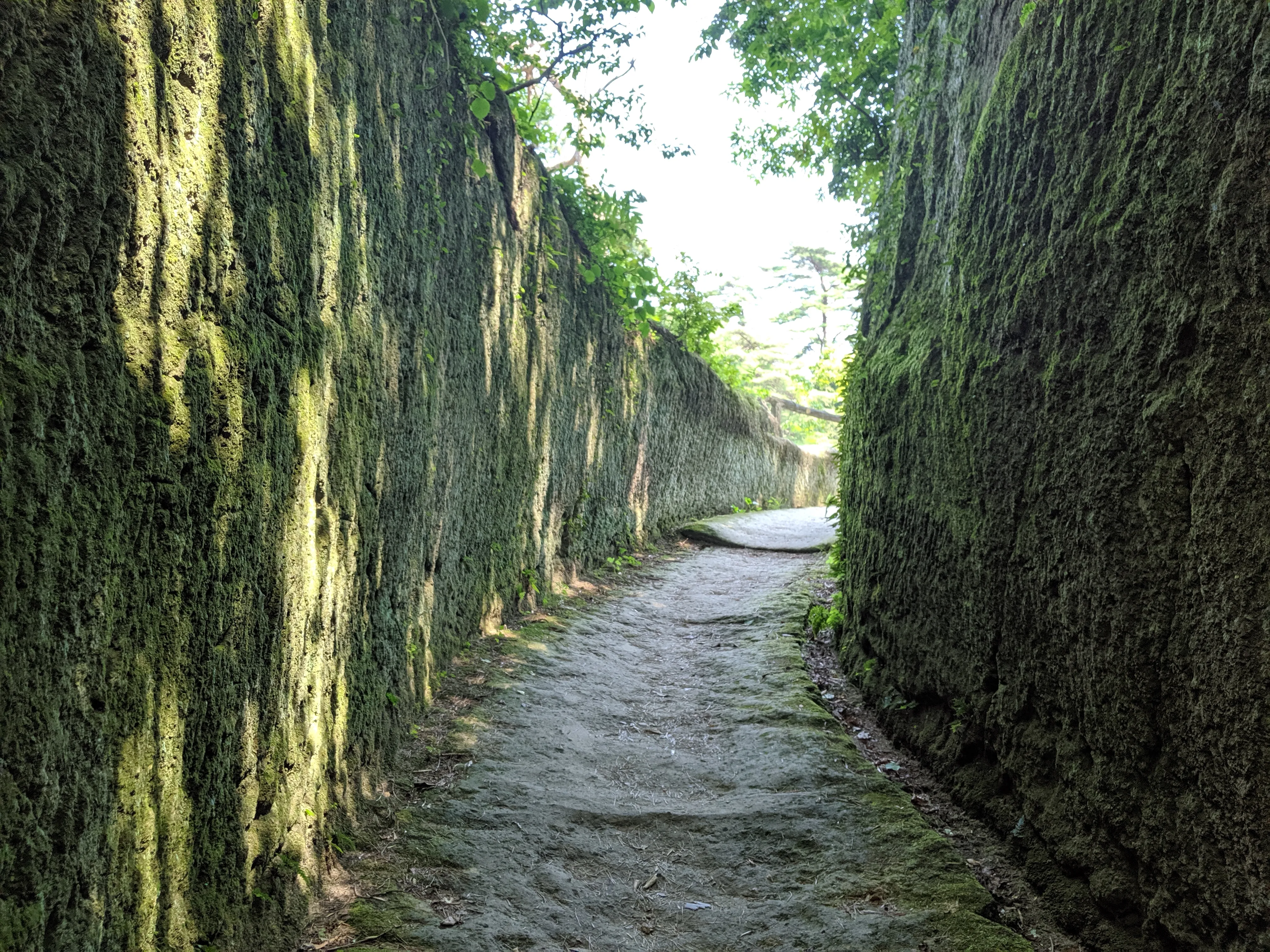 oshima approach.4mlp3wsh.jpg