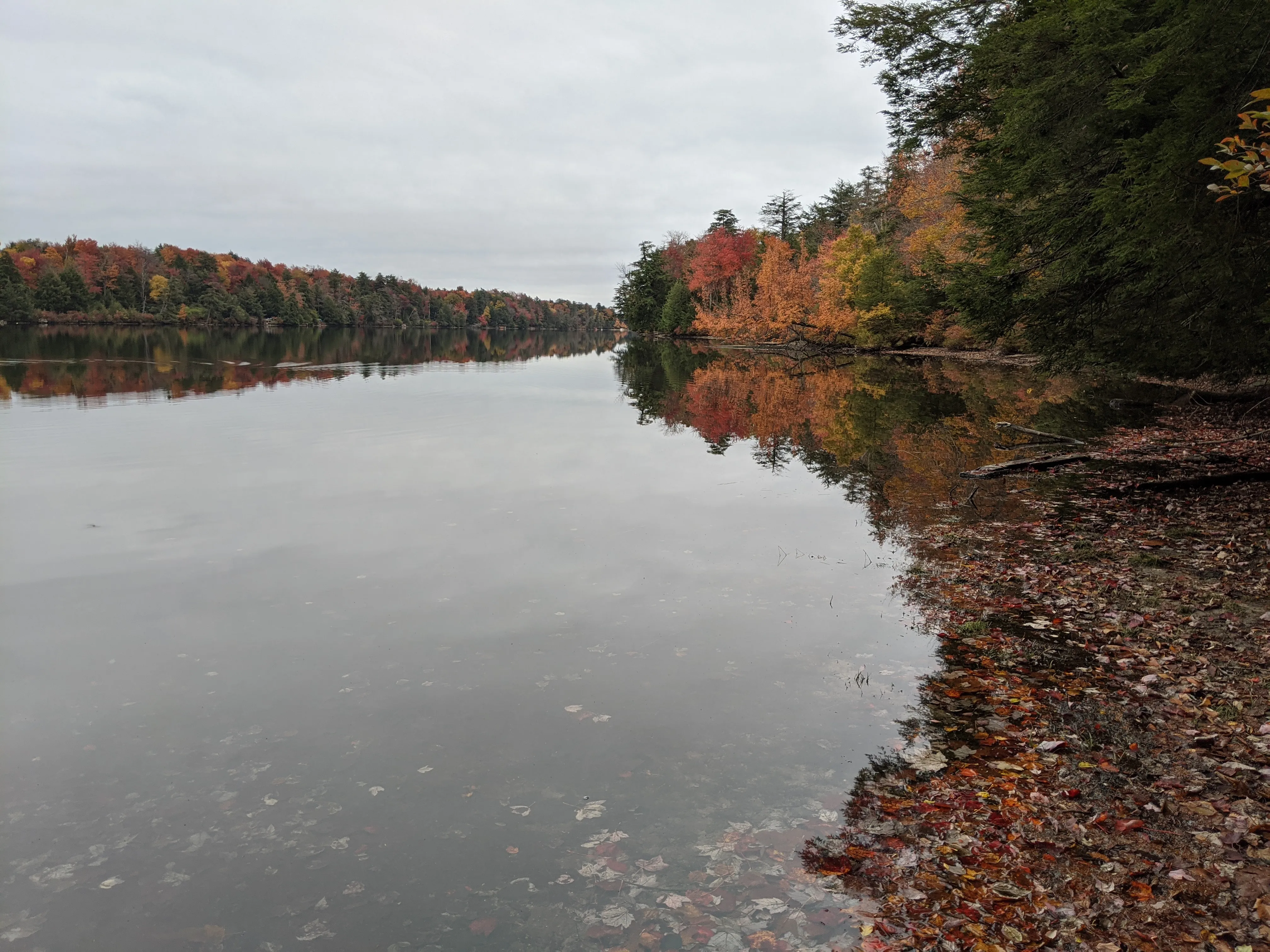 pa lake reflection.UTOX6Rv .jpg