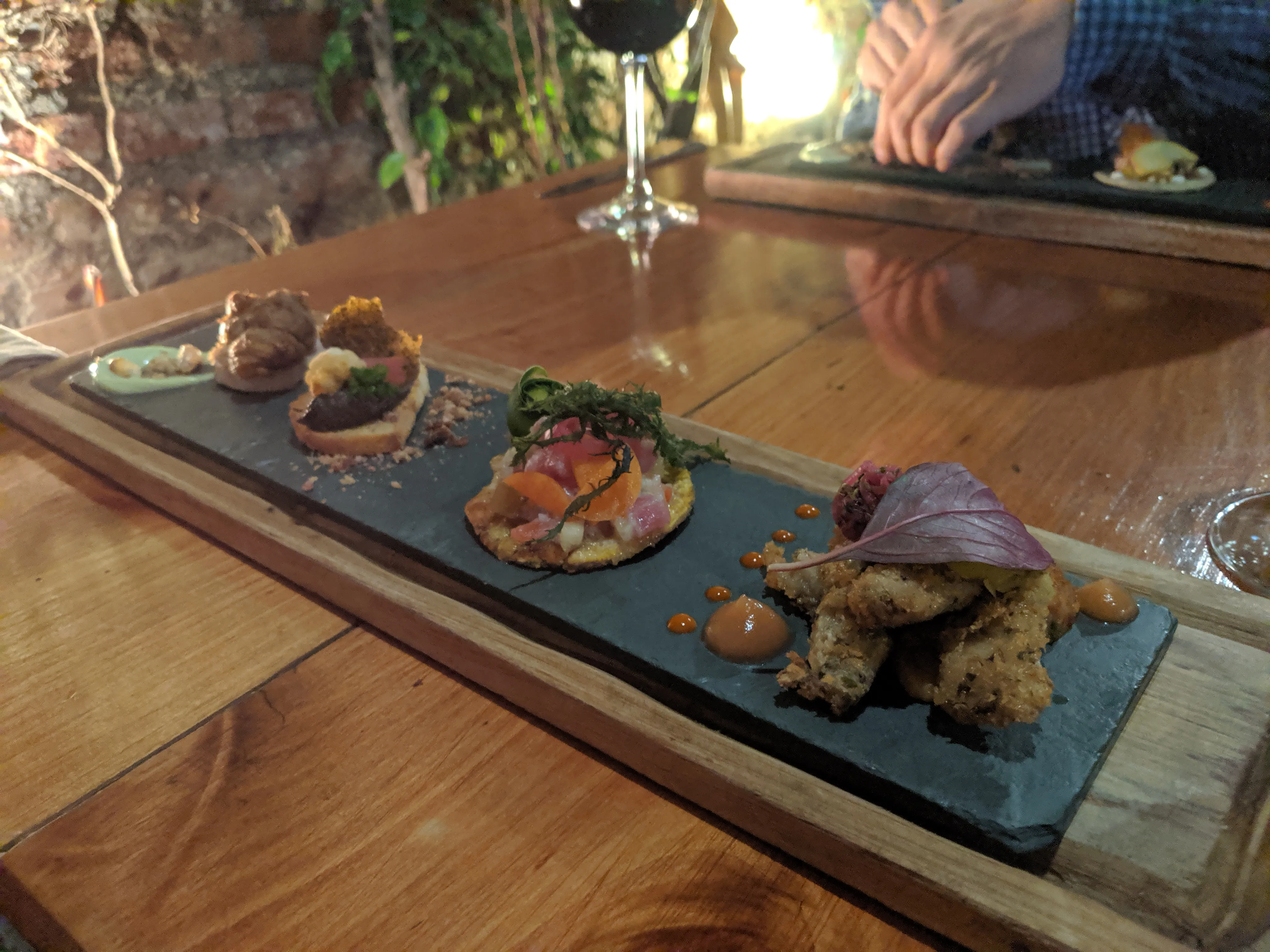 peumayen starters.VV R467w.jpg