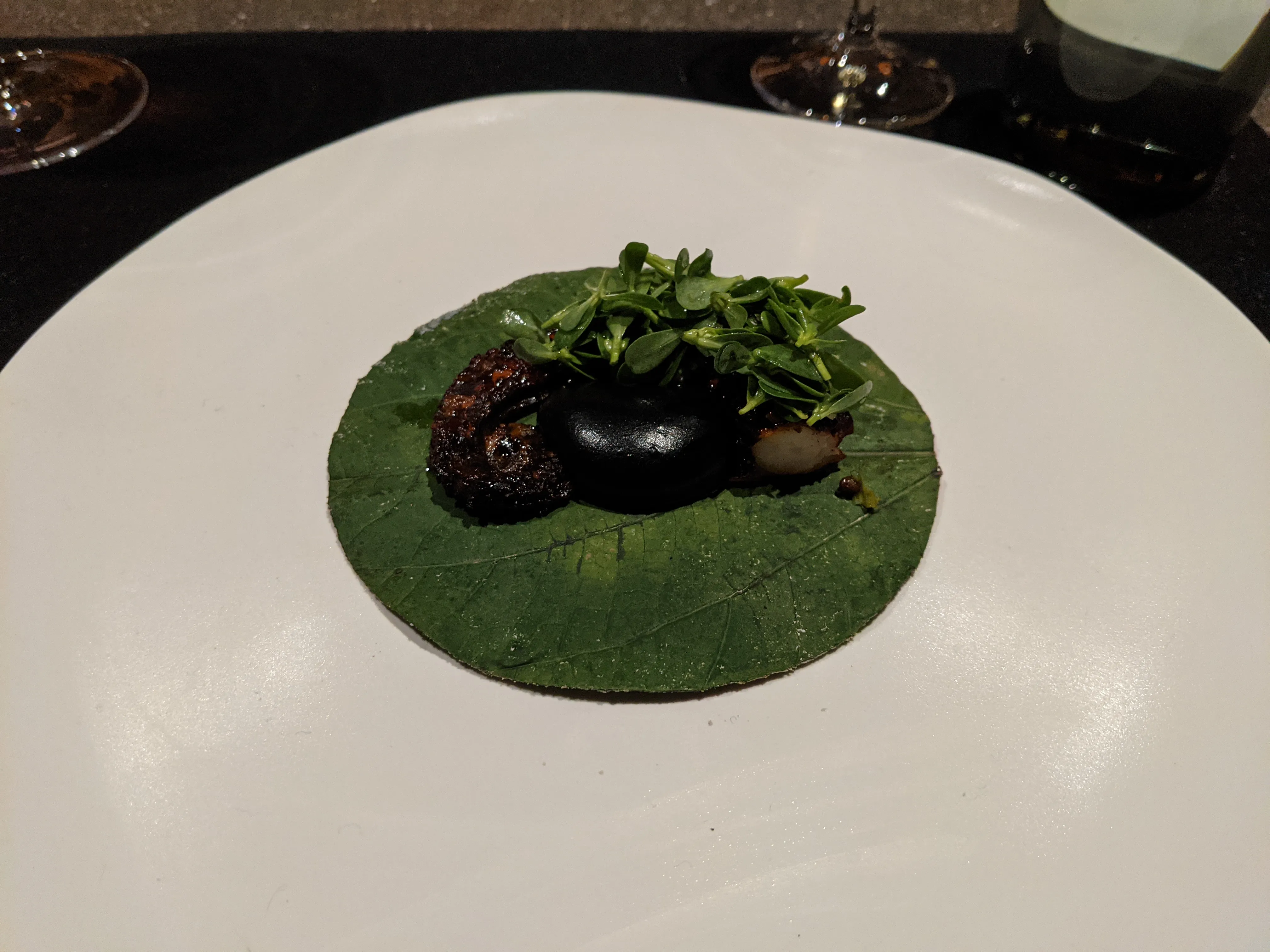 pujol octopus.Dy8jJBZf.jpg