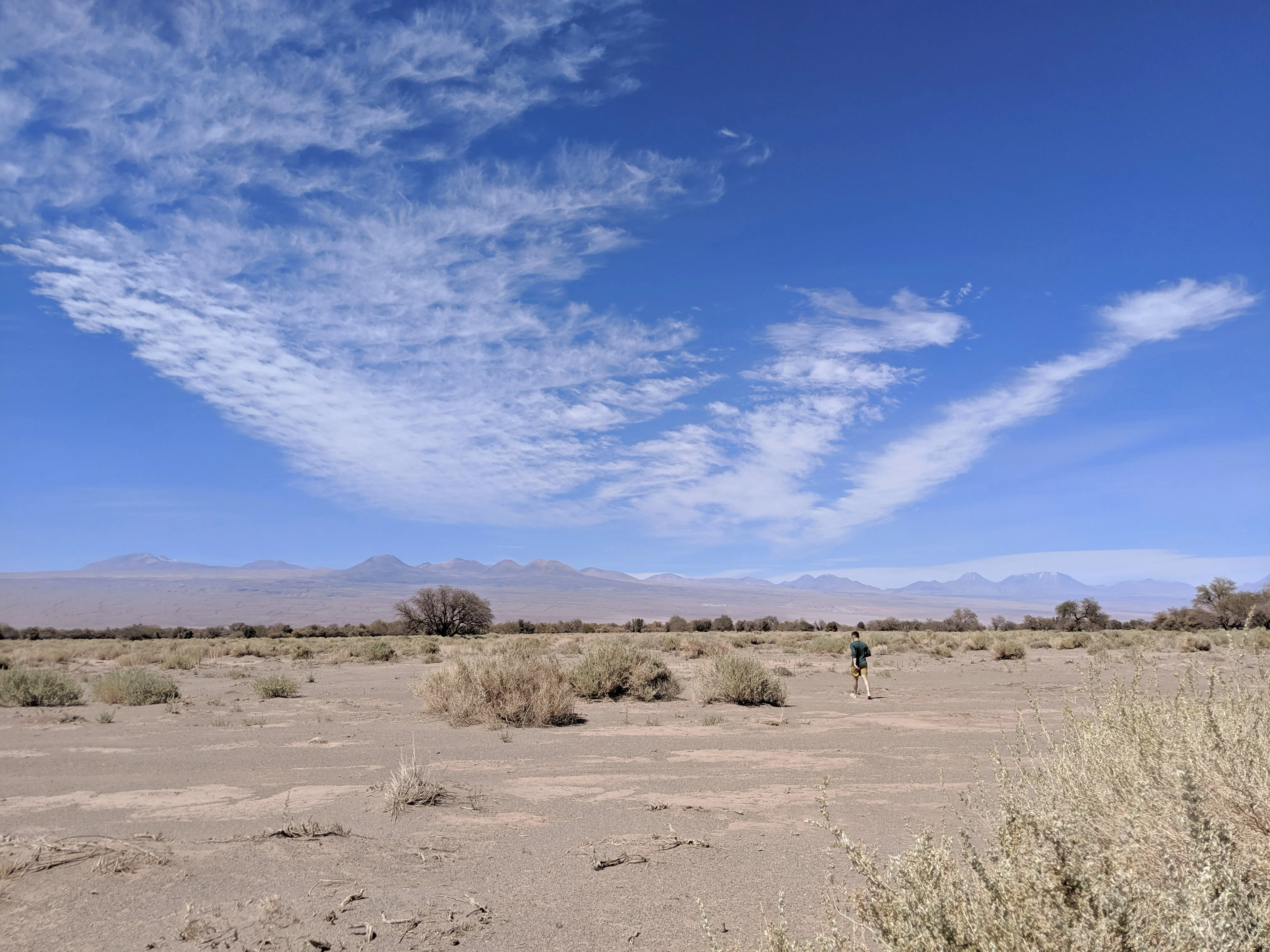 road jeff.ytHqUuEA.jpg