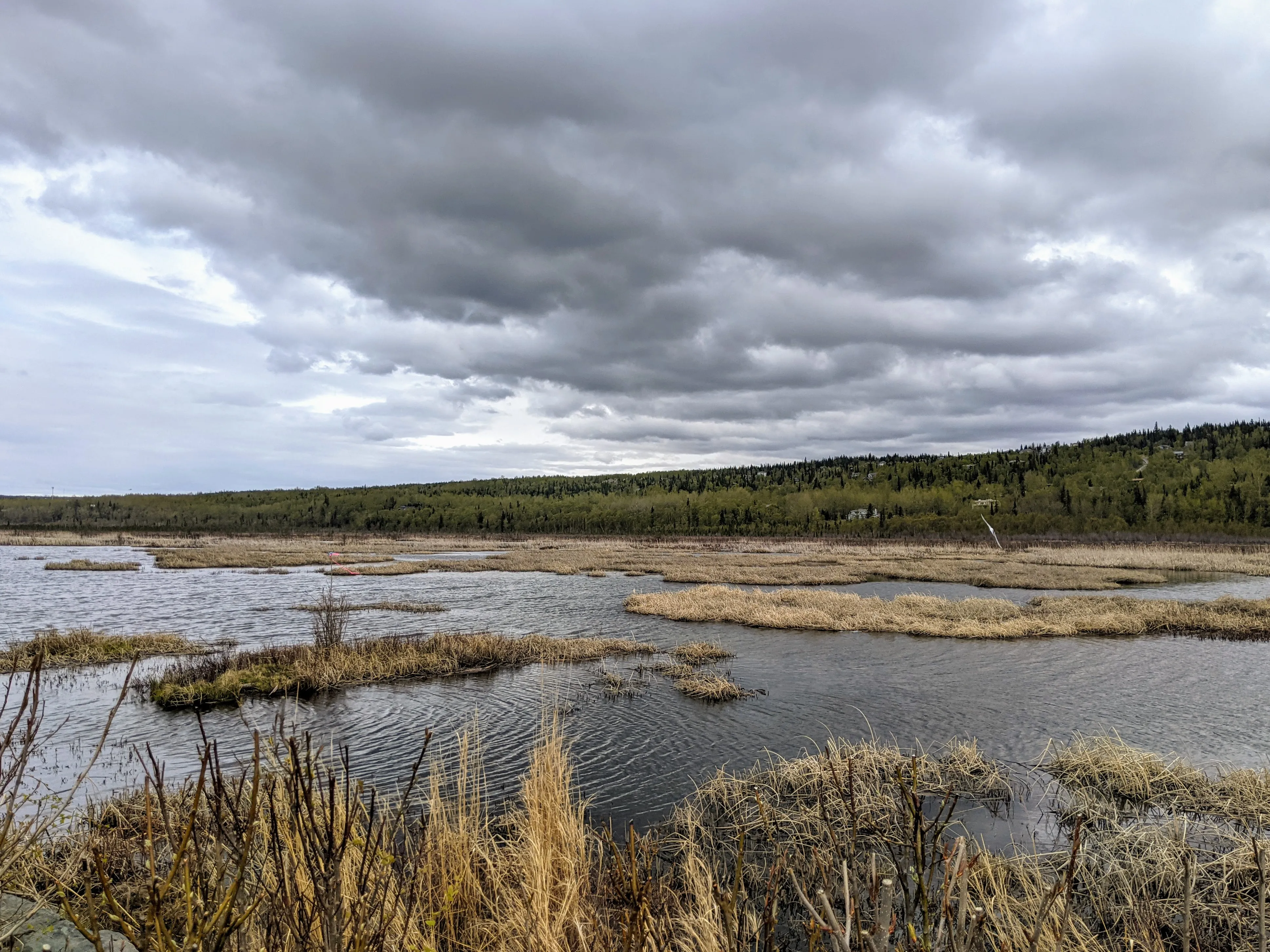 route 1 swamp.B0ePUoh .jpg