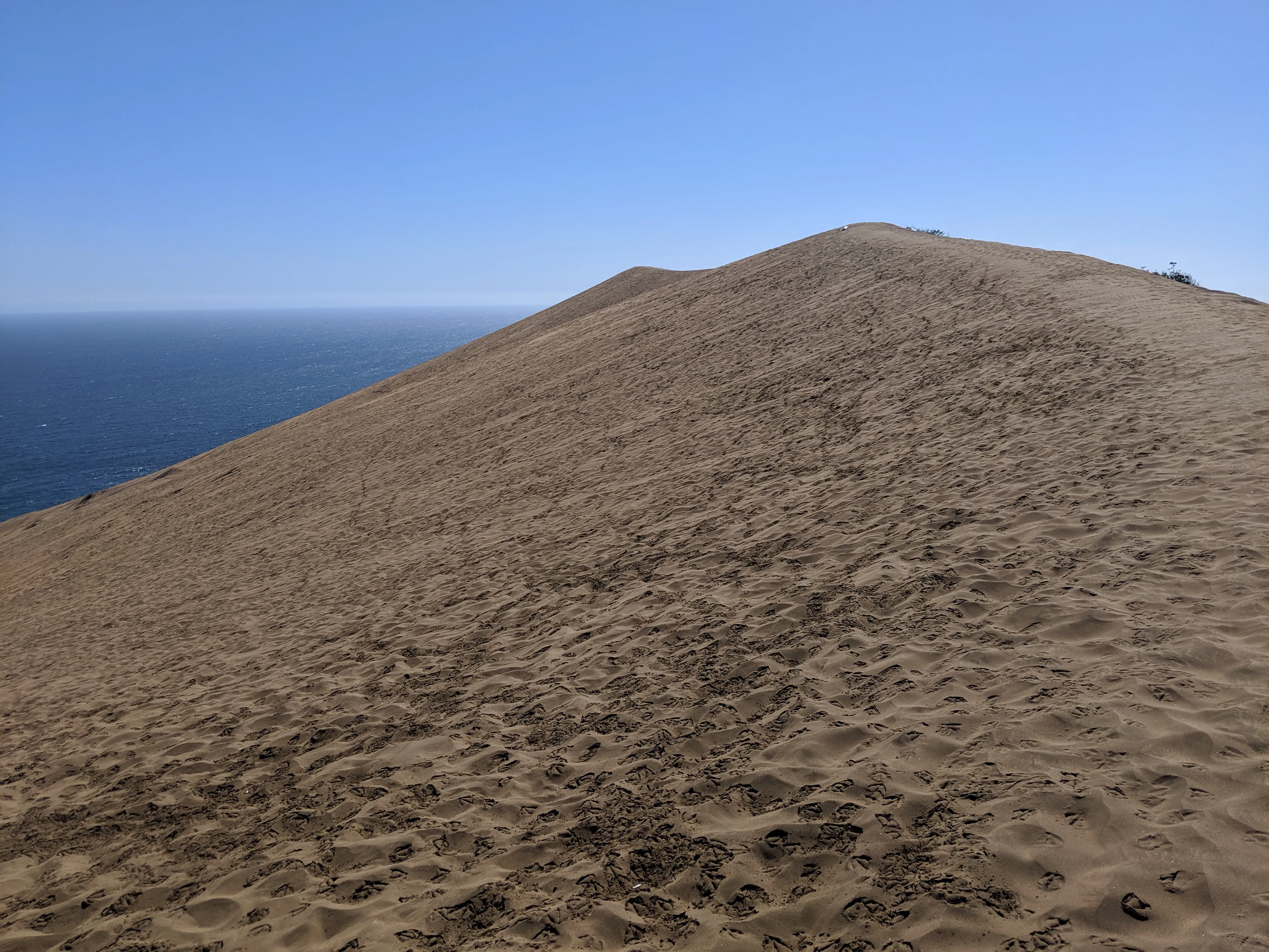 sand dune.Dpvt7IiB.jpg