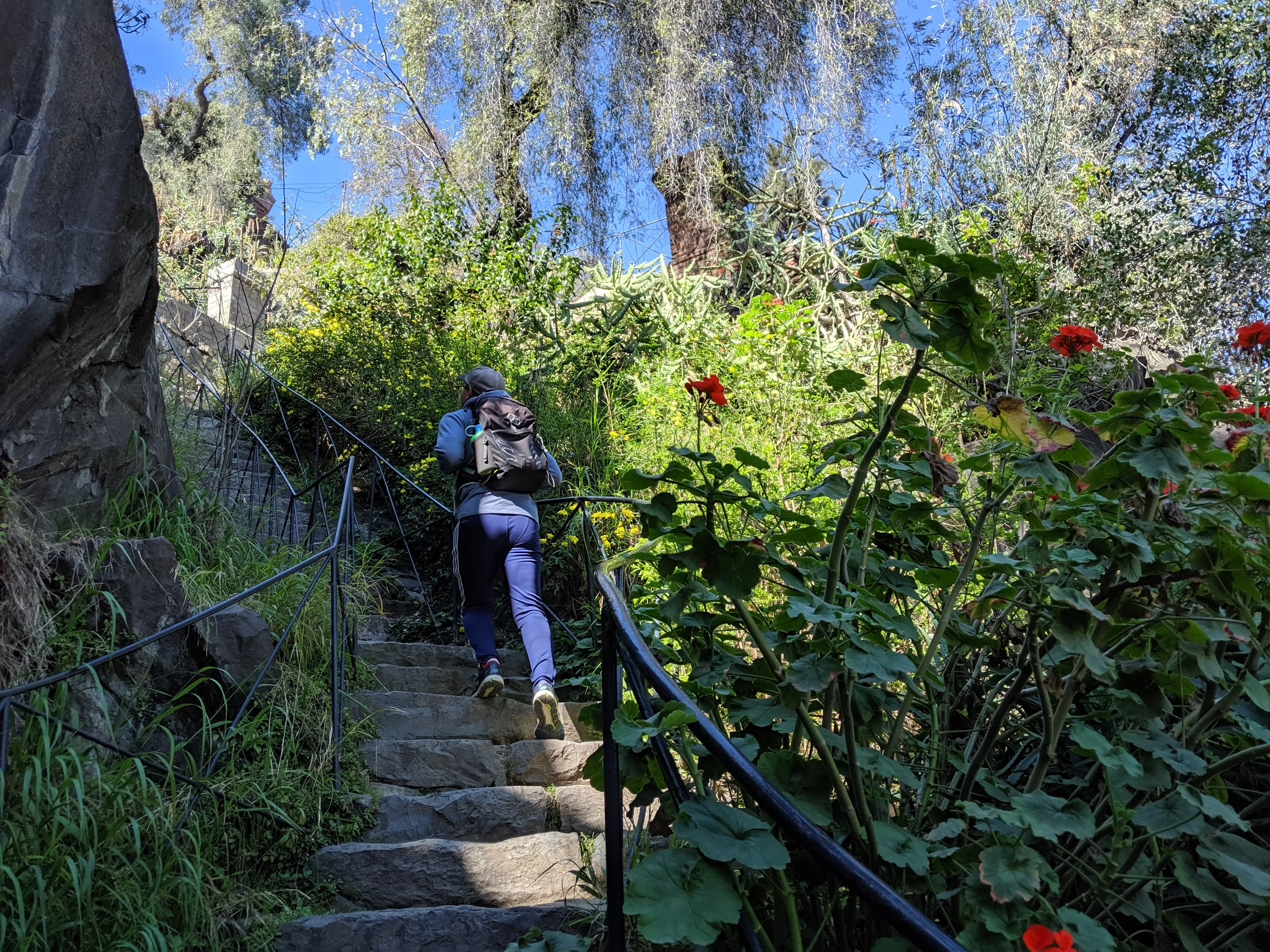 santa lucia steps.DrLcqWxH.jpg