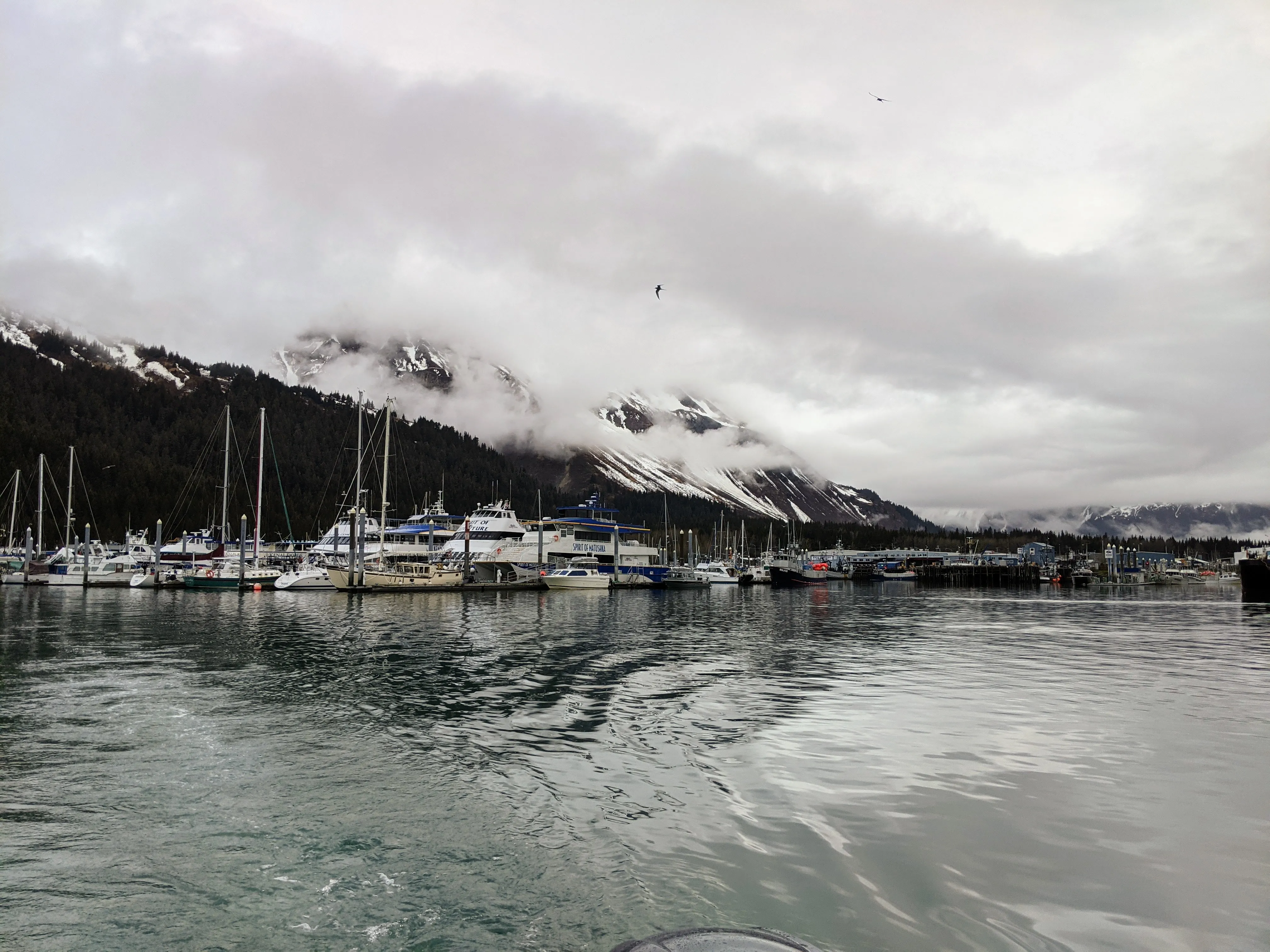 seward harbour.4BRVhjNZ.jpg