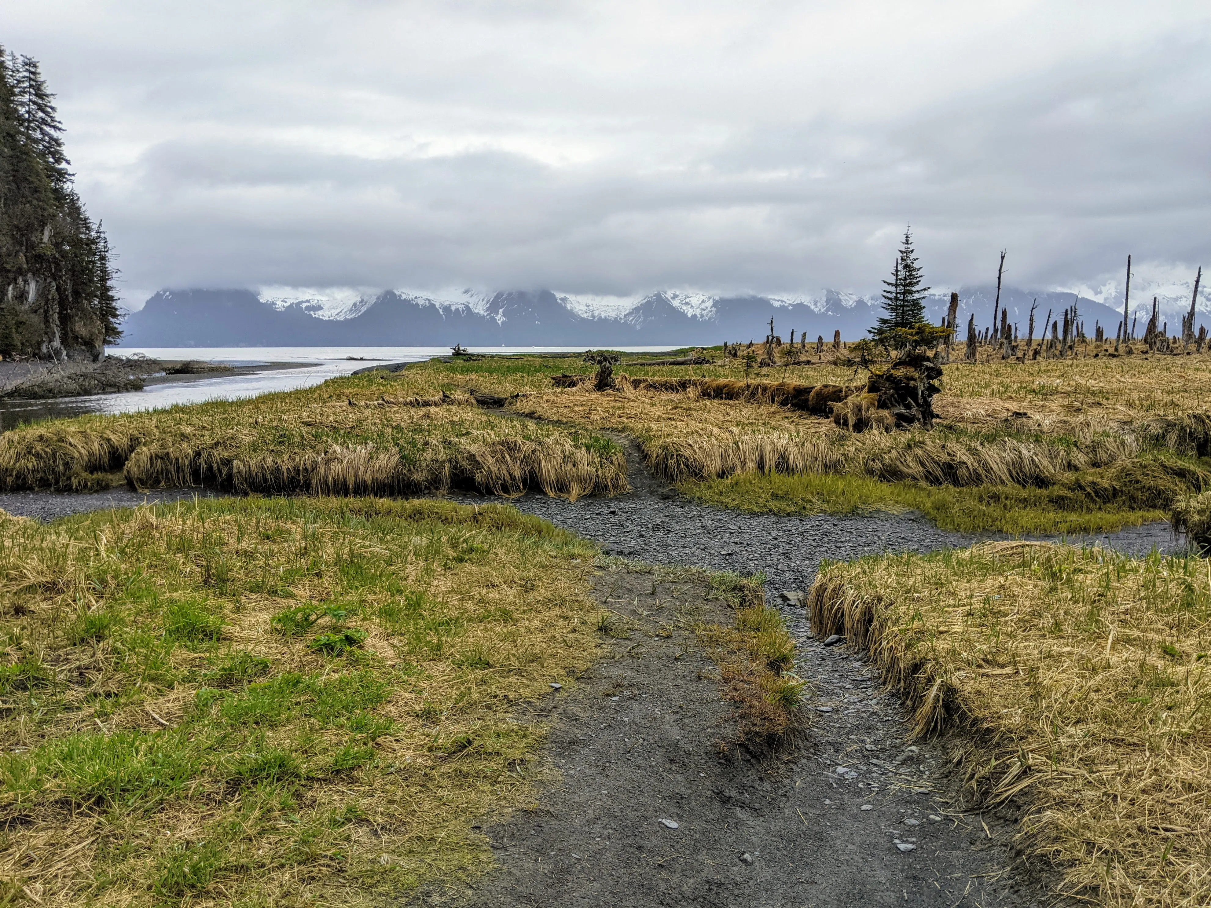seward hike field.BnUdgovO.jpg